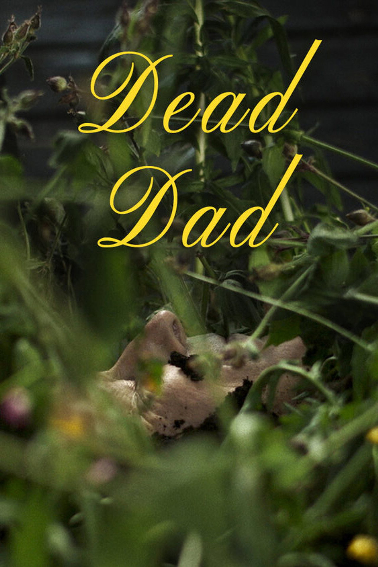 Dead Dad filmaffisch