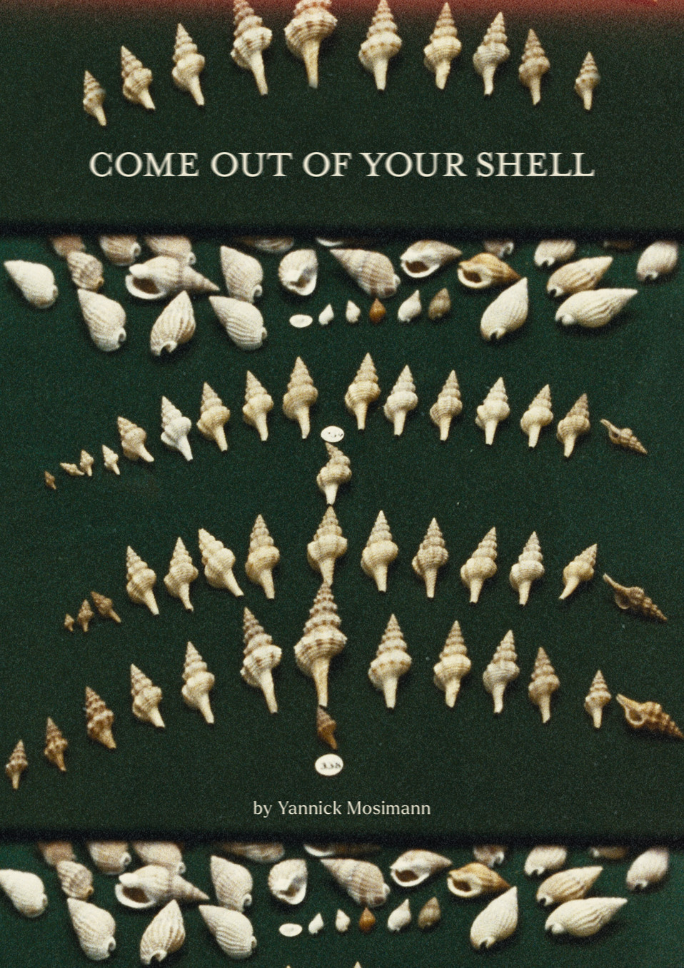 Come out of your shell poster