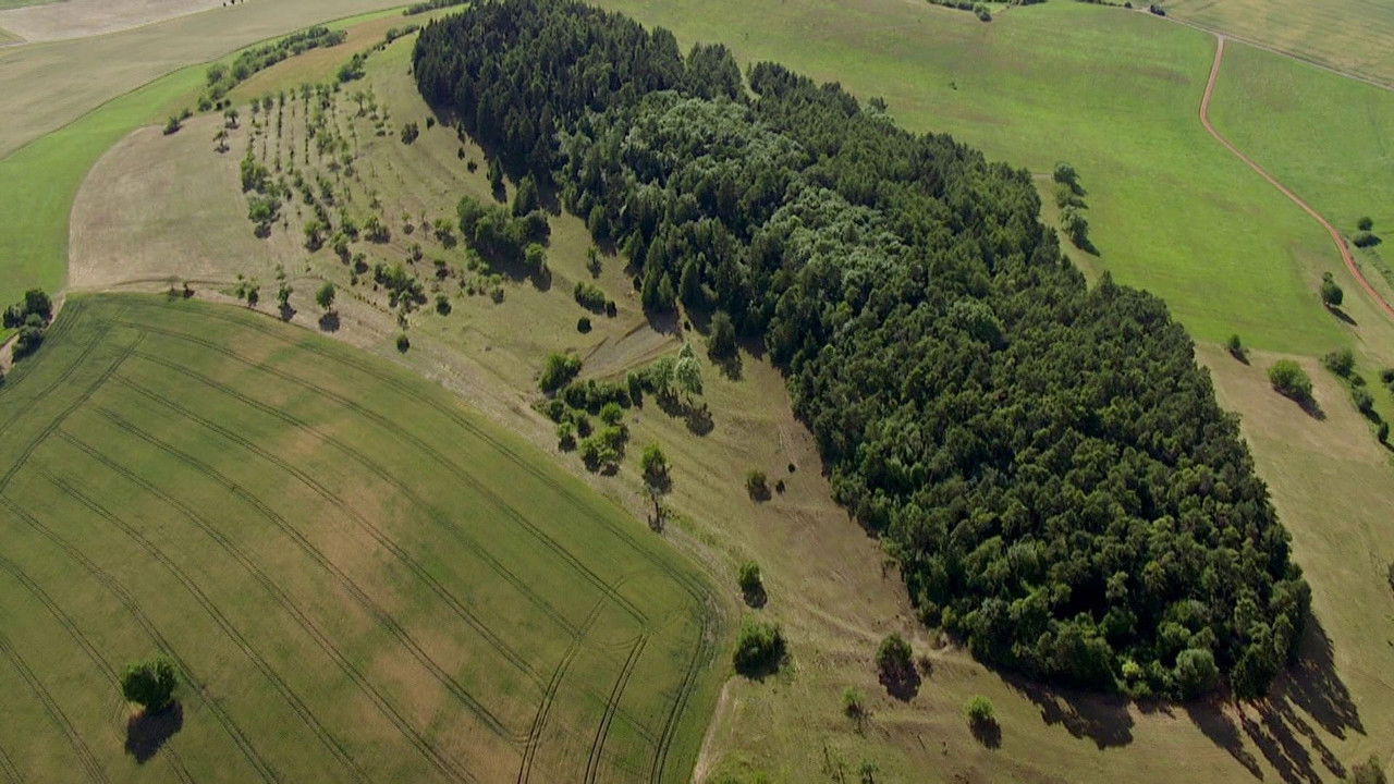 L'Allemagne sauvage — La Rhön