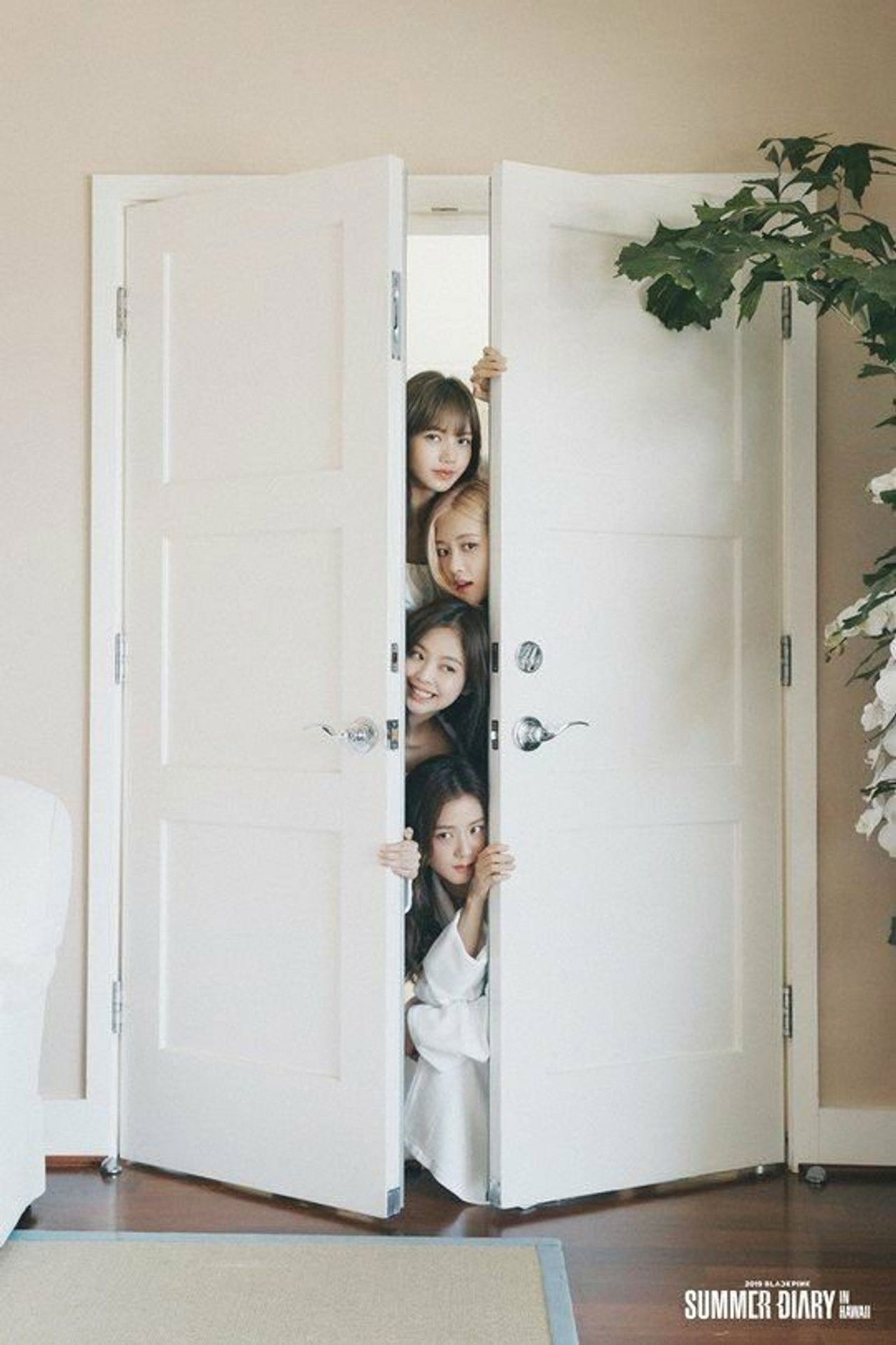 BLACKPINK’S SUMMER DIARY [IN HAWAII] Backdrop