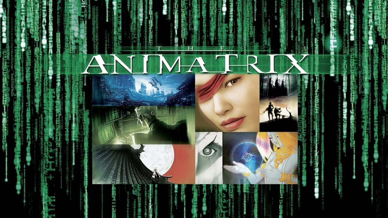 The Animatrix background