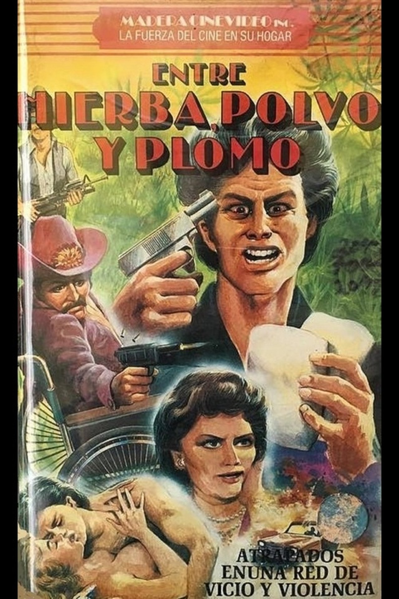 Entre Hierba, Polvo y Plomo Entre Hierba, Polvo y Plomo