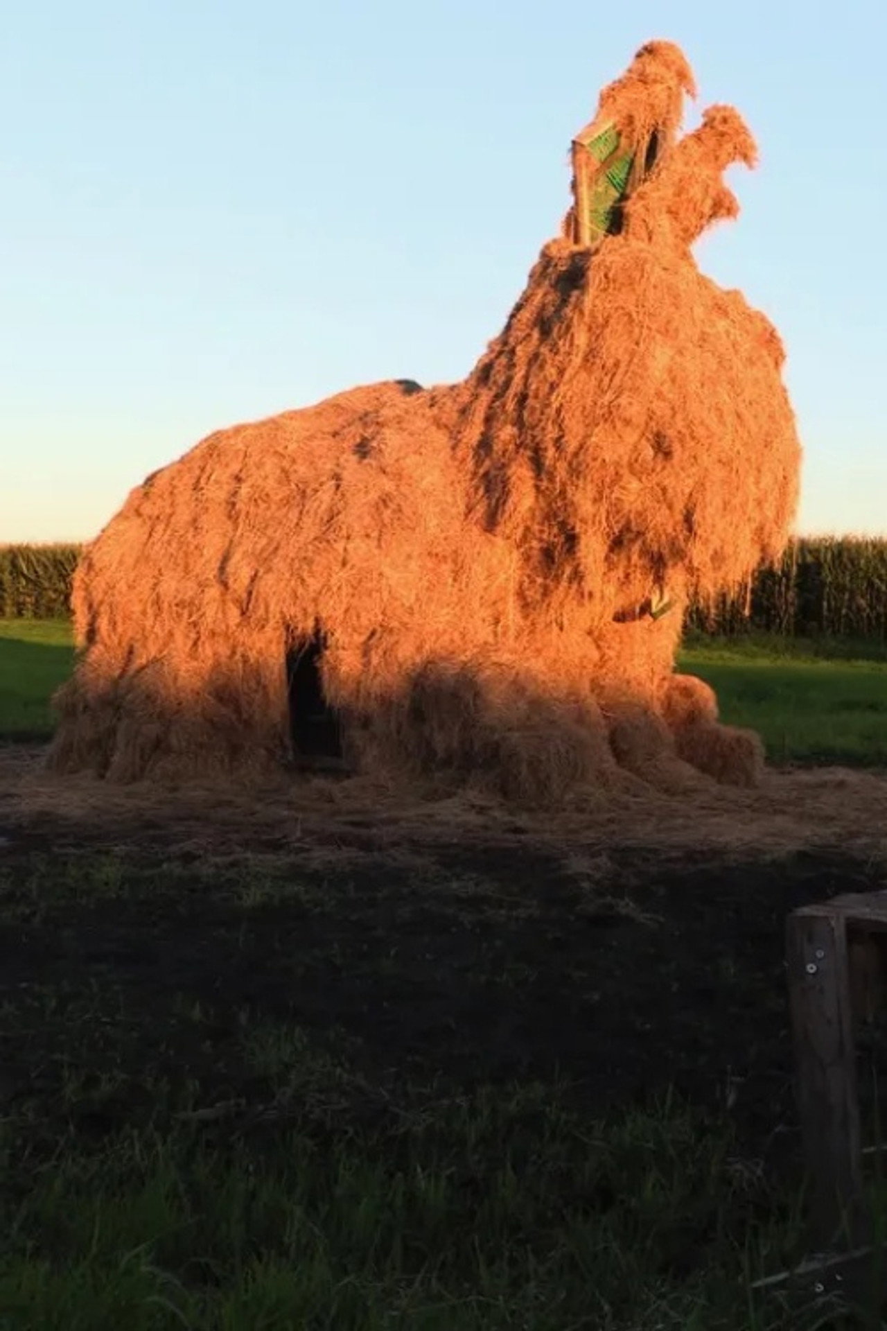 The Fen-fire (2024)