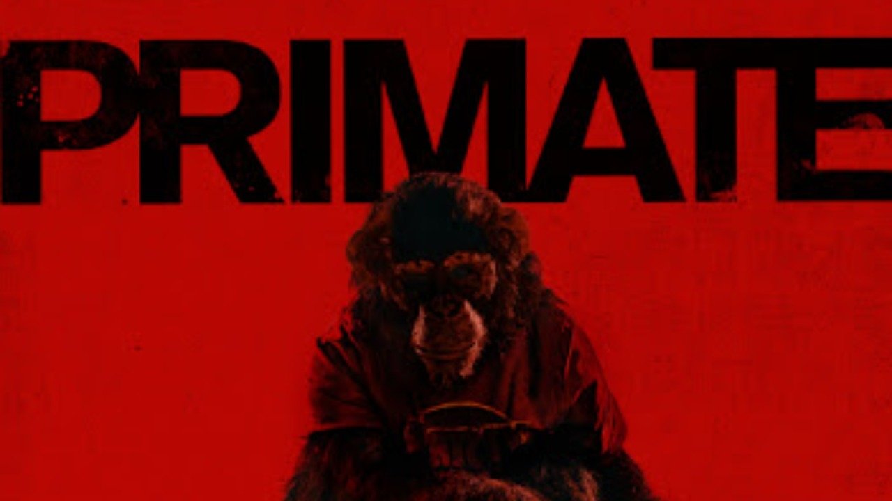 Primate