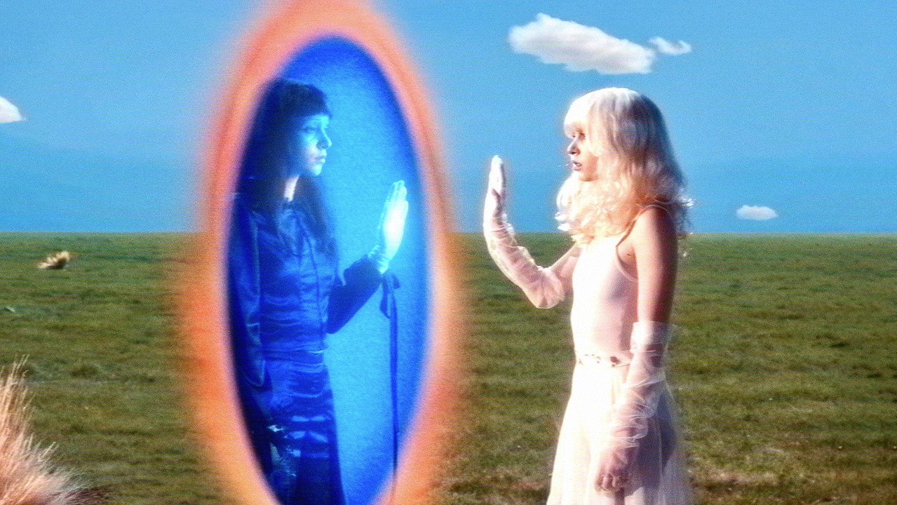 Imaginal Disk still 8