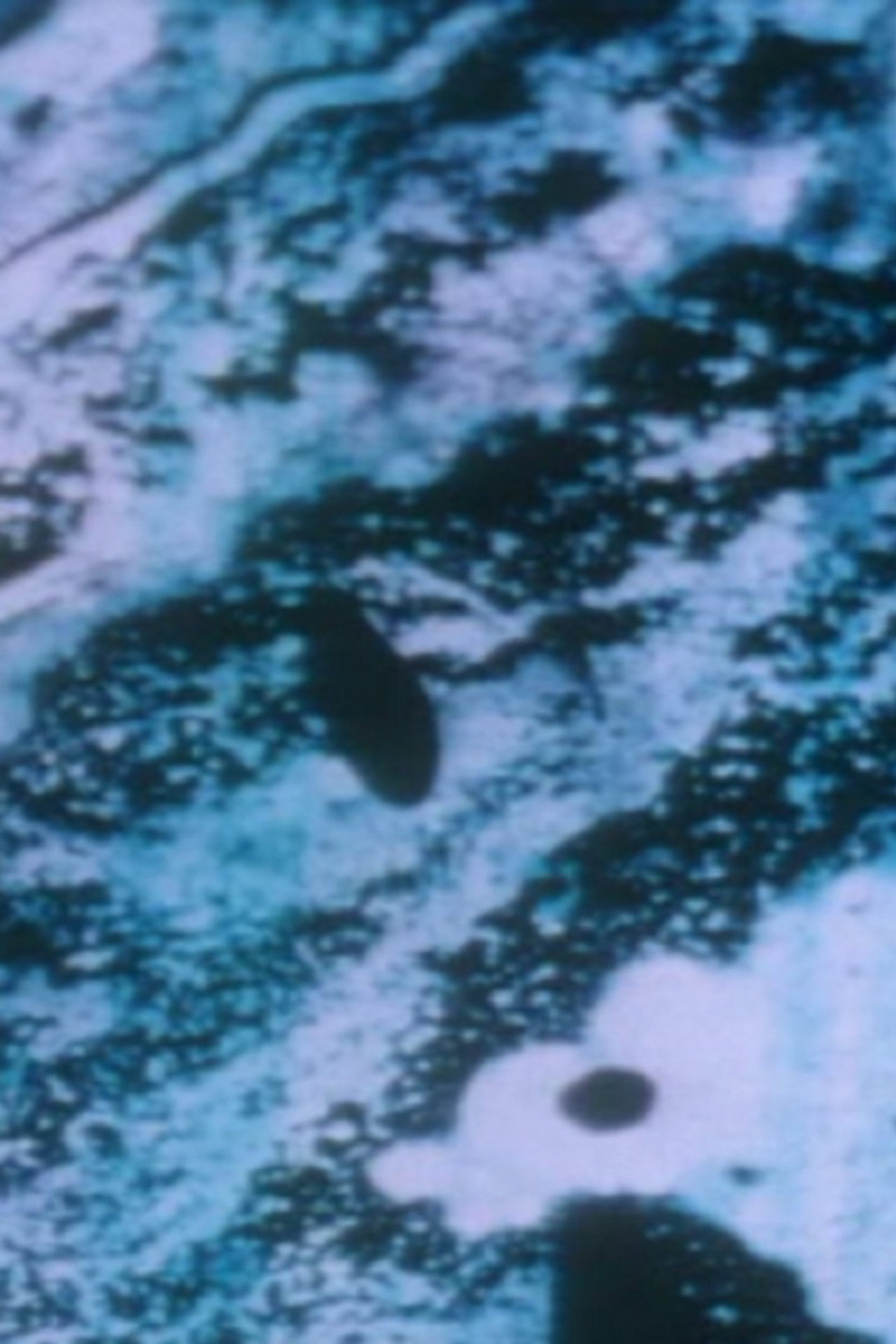 Anomalies of the Unconscious filmaffisch