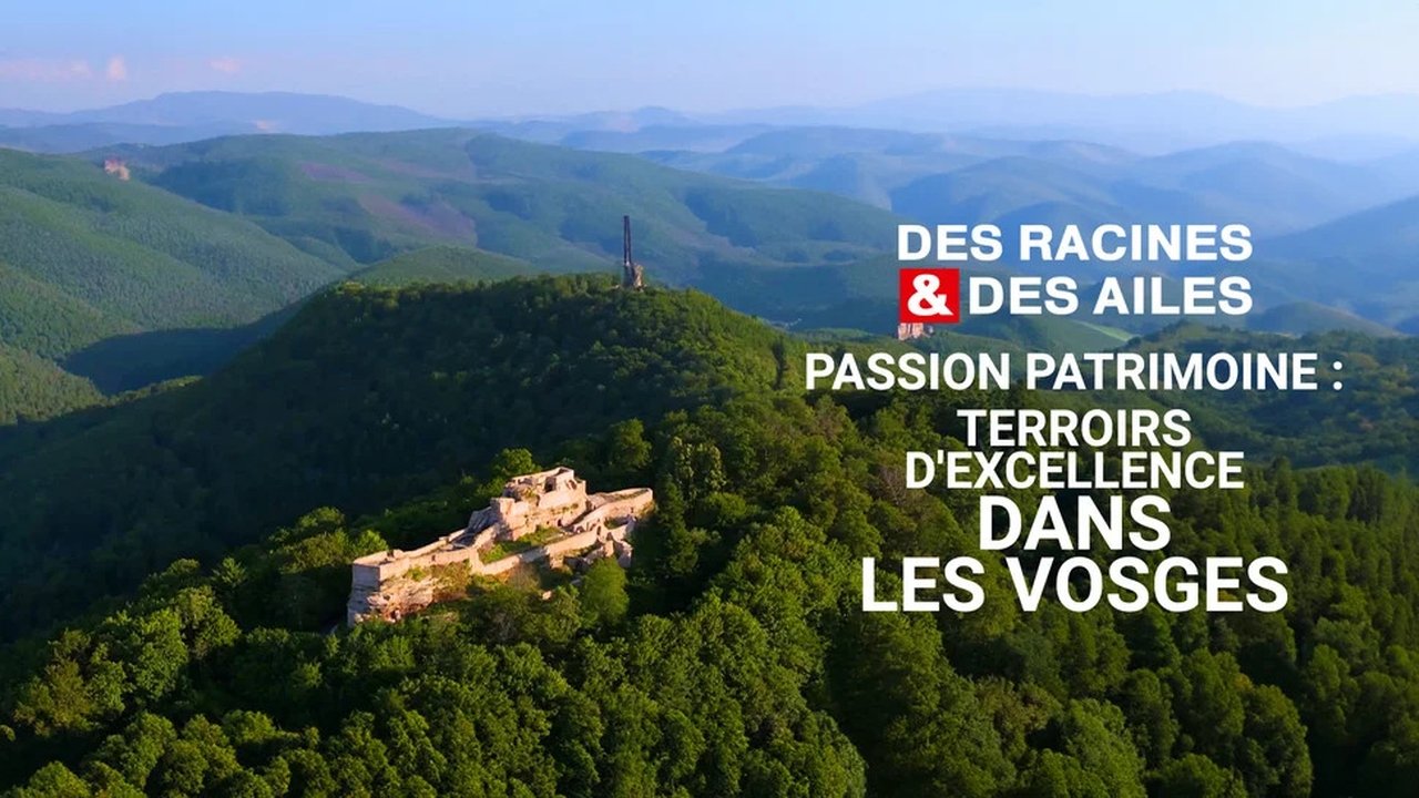 Des racines & des ailes - Season 27 Episode 8 : Episode 8