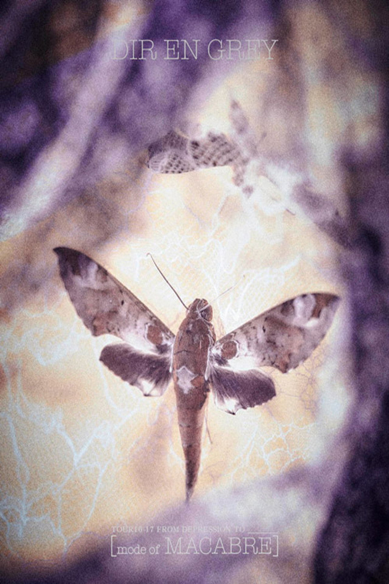 Dir En Grey - Tour 16-17 From Depression To [Mode Of Macabre] Backdrop