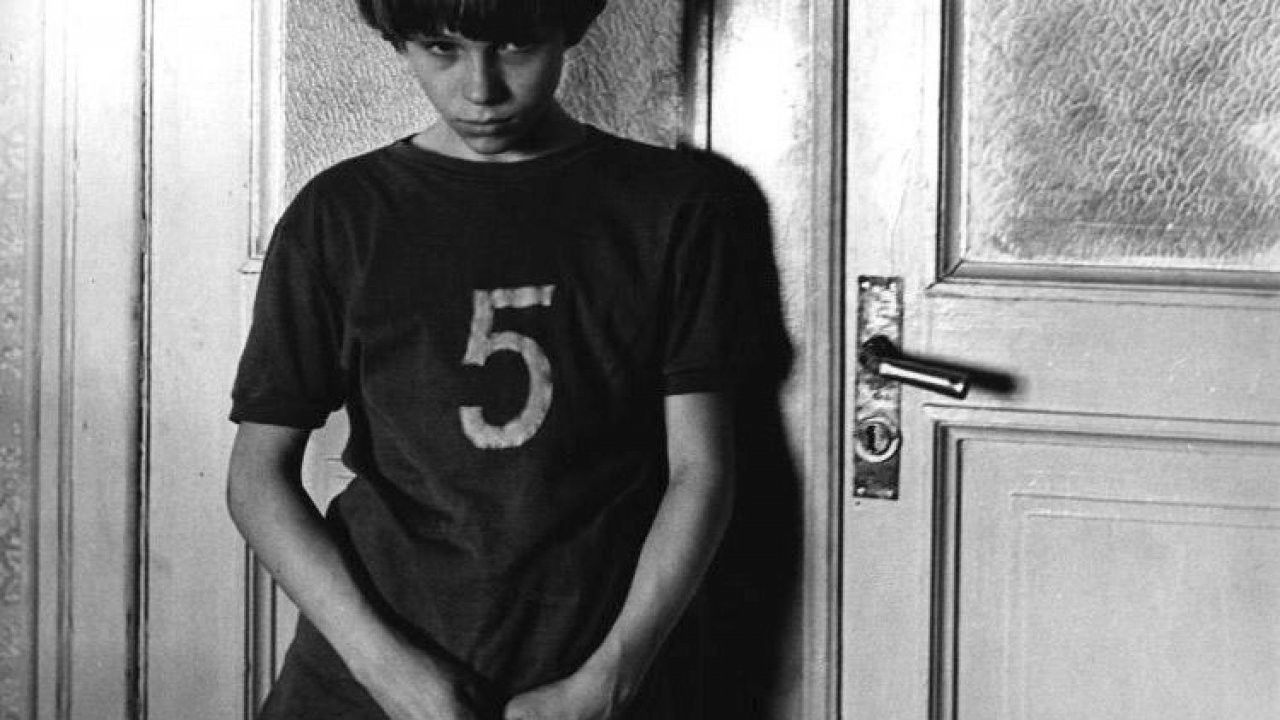 Woodpeckers Don't Get Headaches backdrop