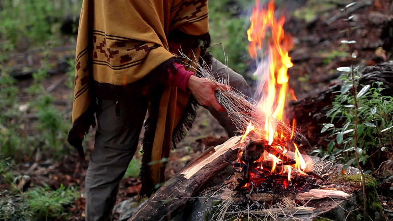 Desafio em Dose Dupla Brasil — Épisode 5