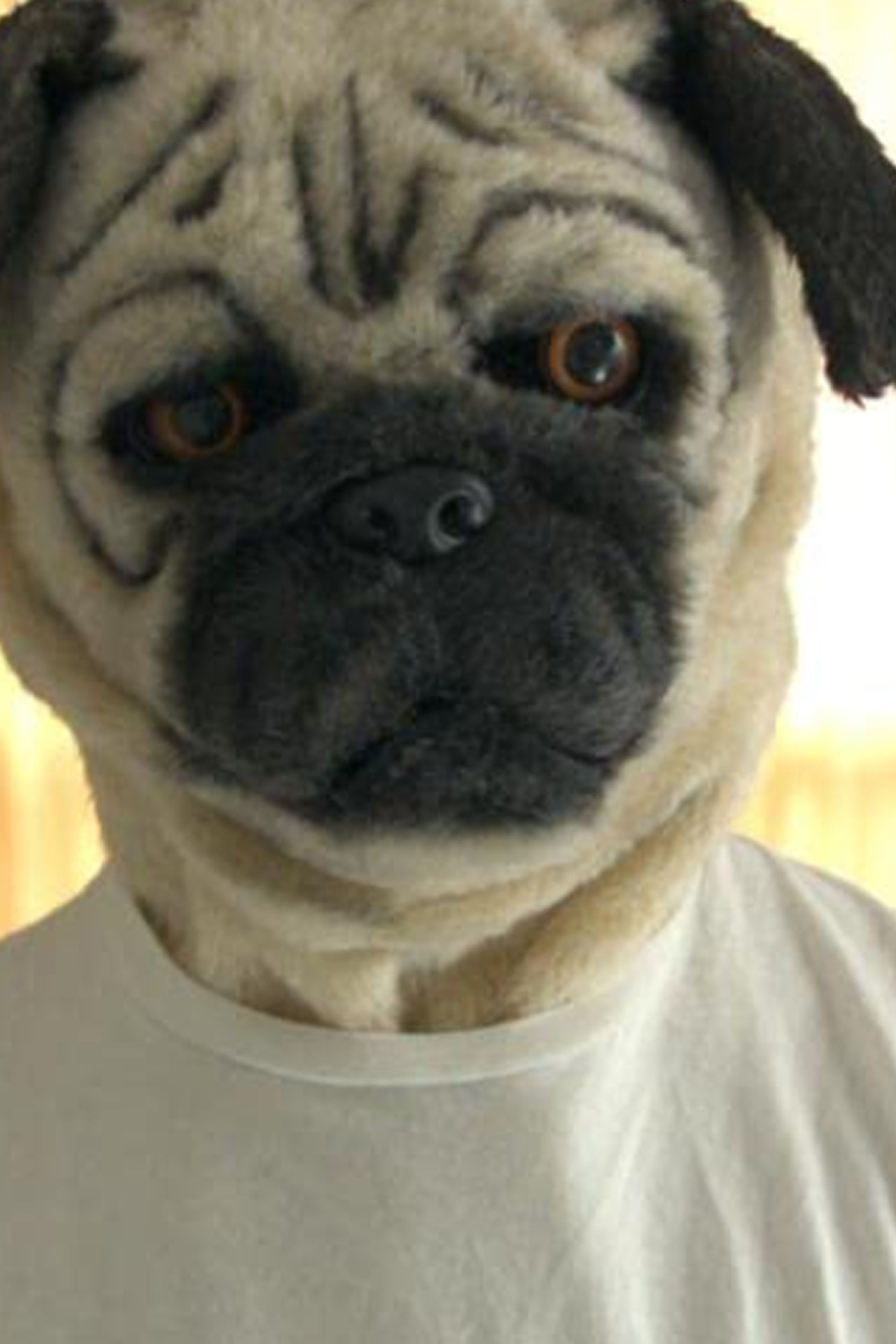 A Pug & Wolf Christmas Backdrop