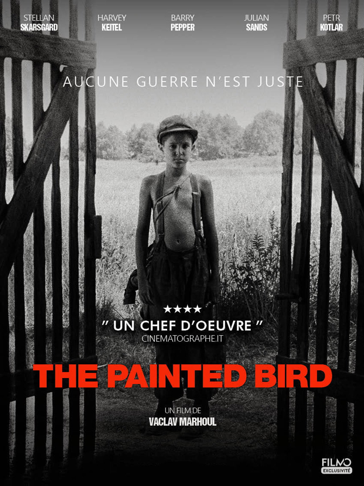 L'Oiseau bariolé