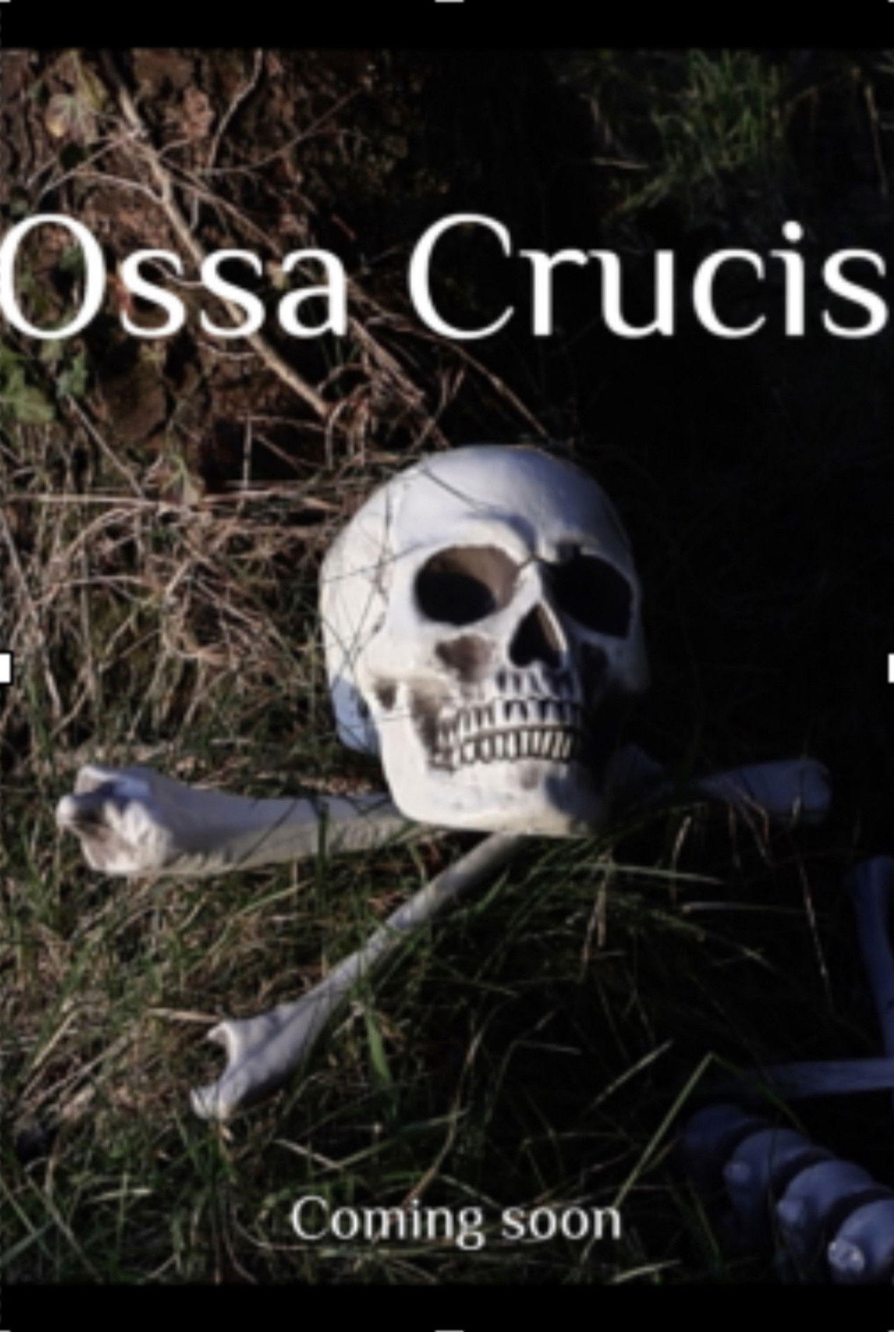 Ossa Crucis poster