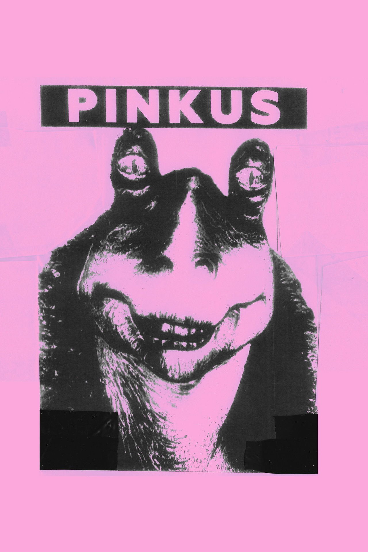 Pinkus Backdrop