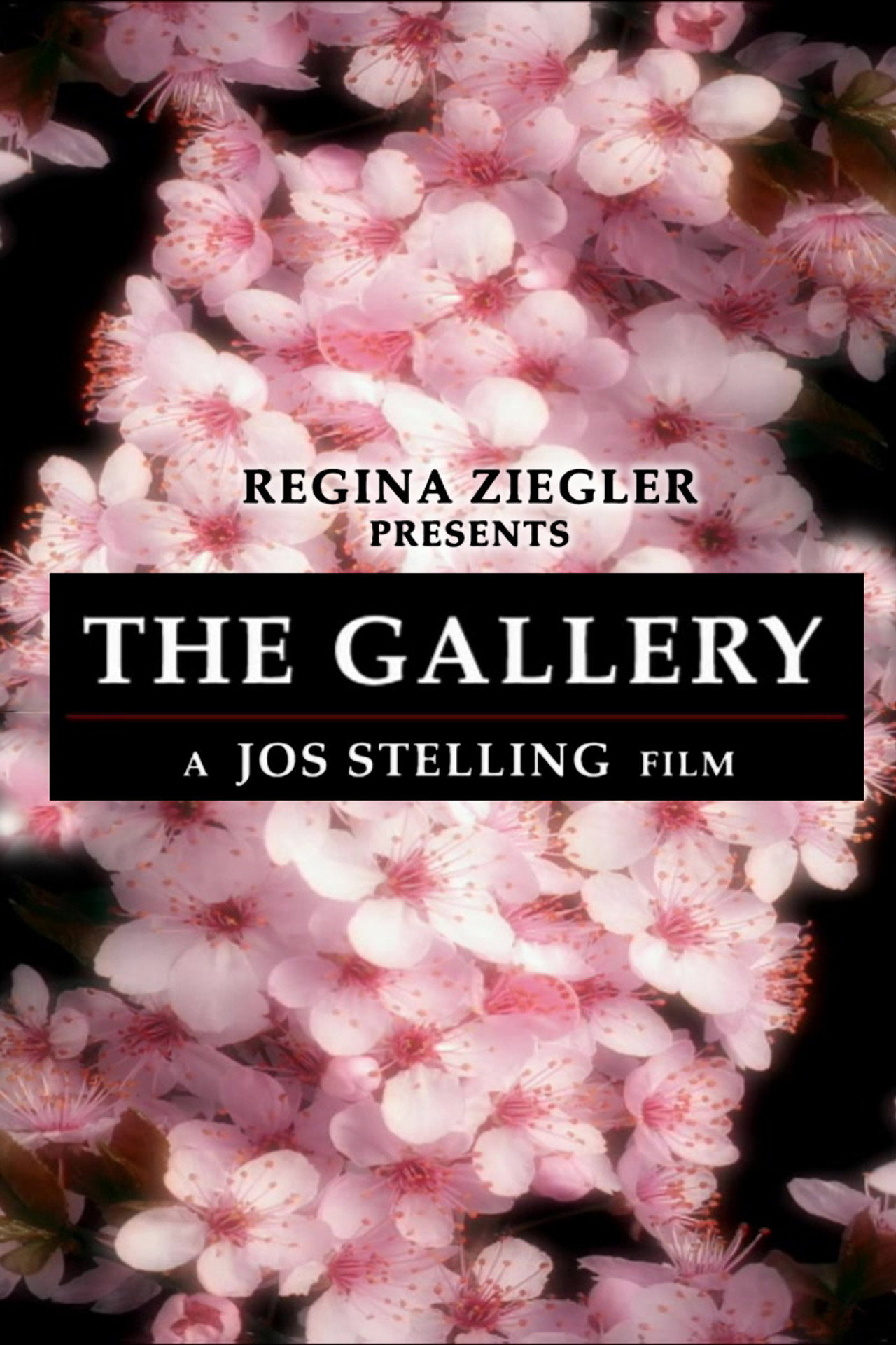 The Gallery
