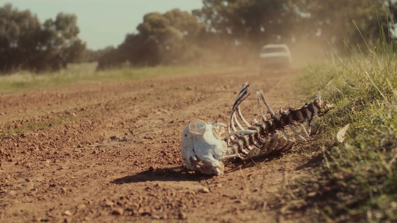 Don’t Talk About the Monster on the Roof