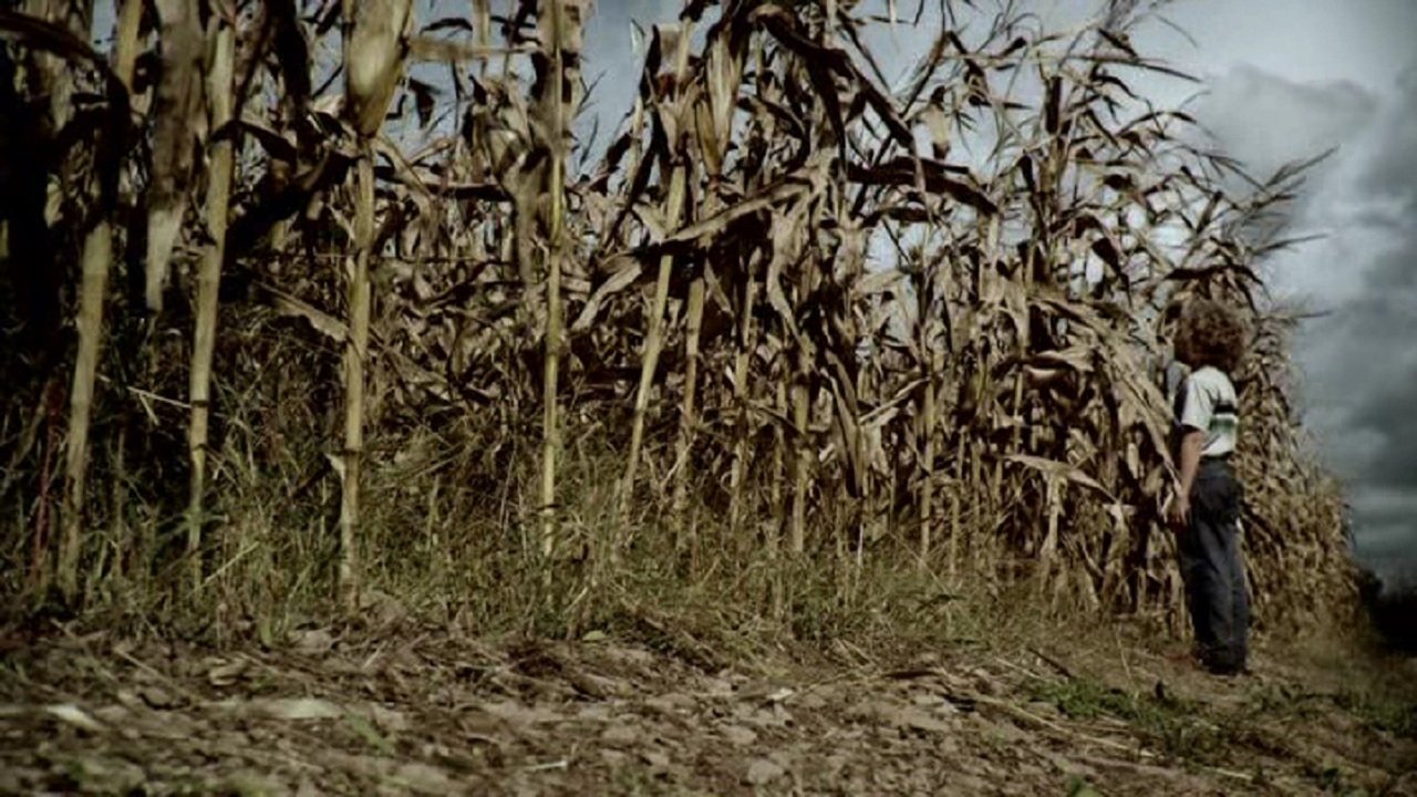 The Fields (2011)