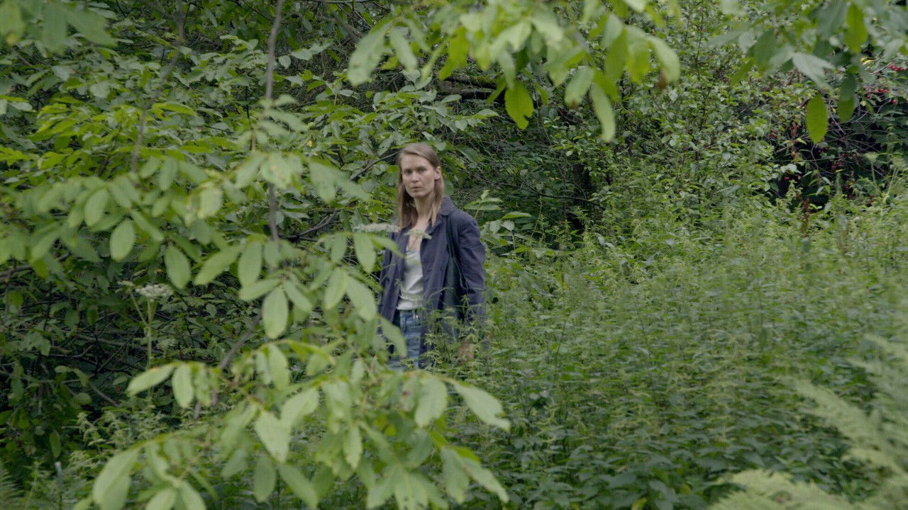 We Haven't Lost Our Way backdrop