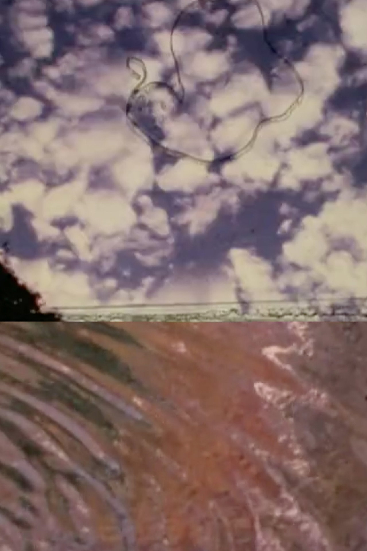 The Cosmos in Mike Smith’s Pond filmaffisch