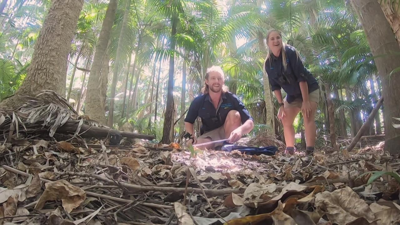 Aussie Snake Wranglers - Season 1 Episode 16 : Brown Bonanza