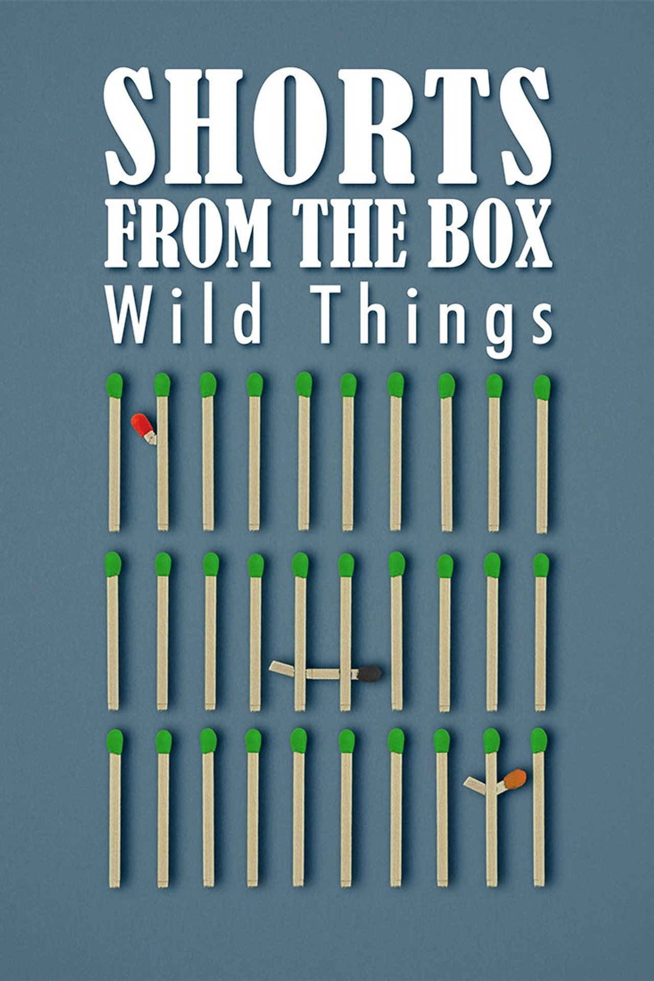 SHORTS FROM THE BOX / Wild Things