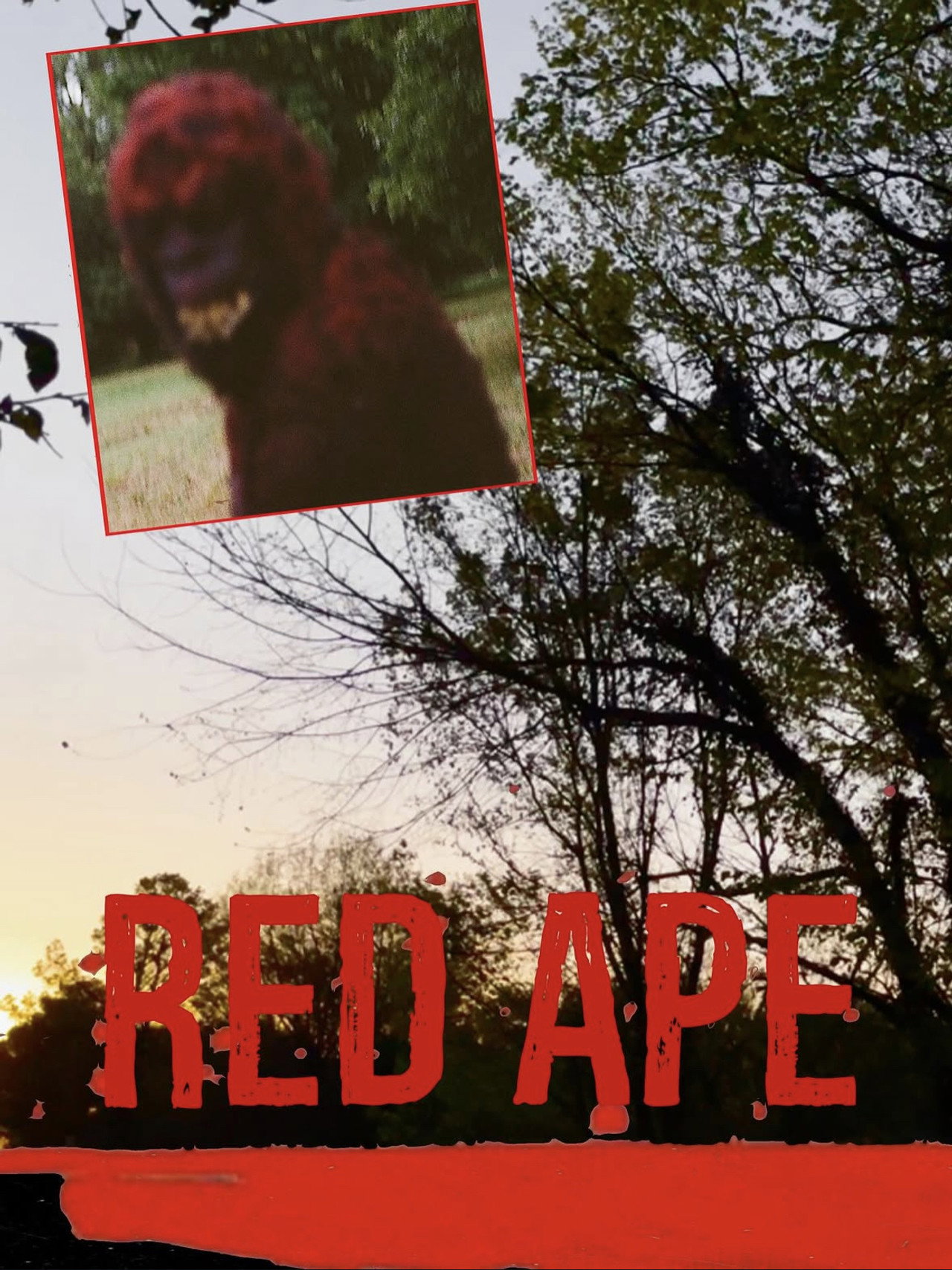 Red Ape Backdrop