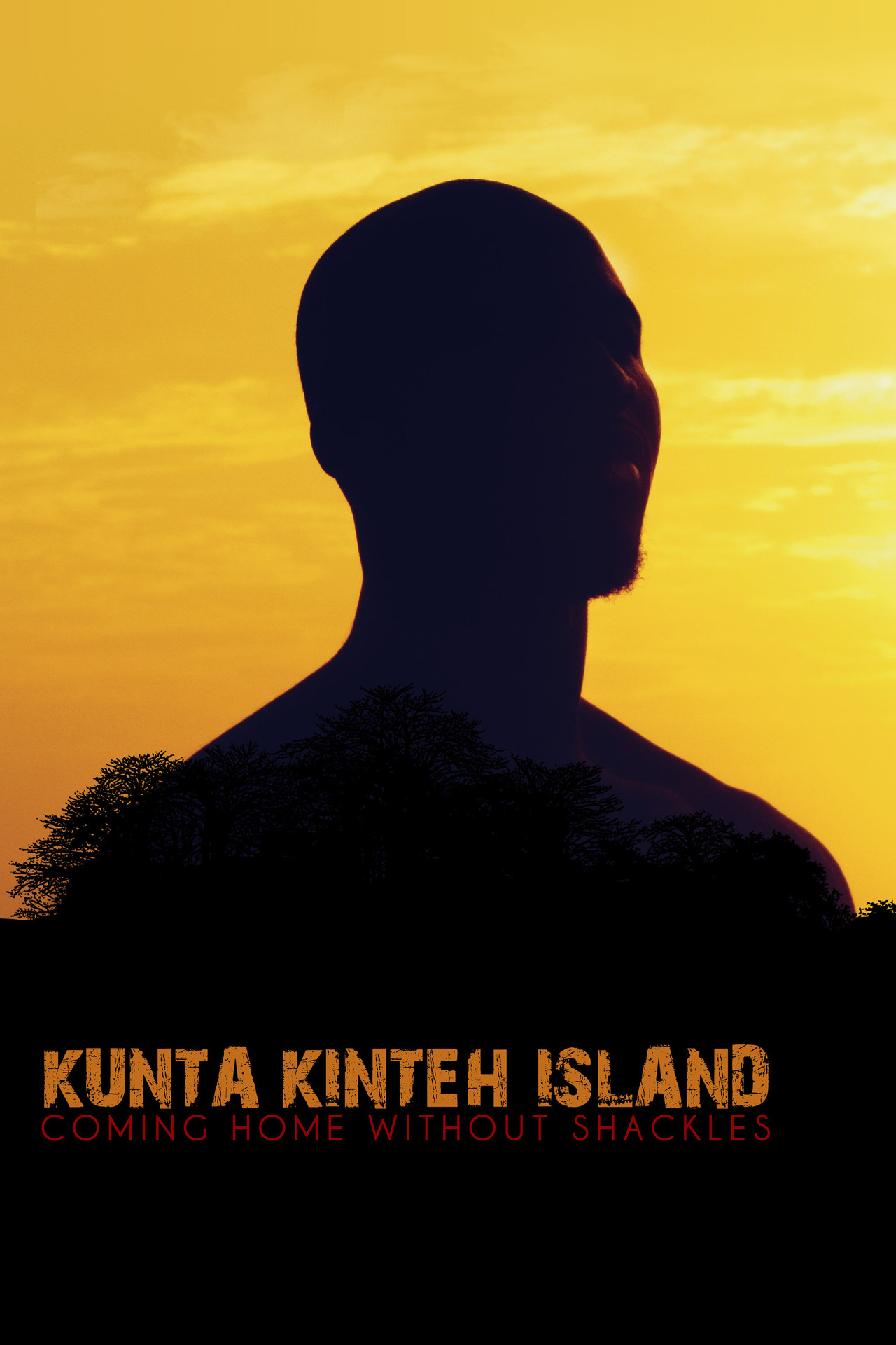 Kunta Kinteh Island Backdrop