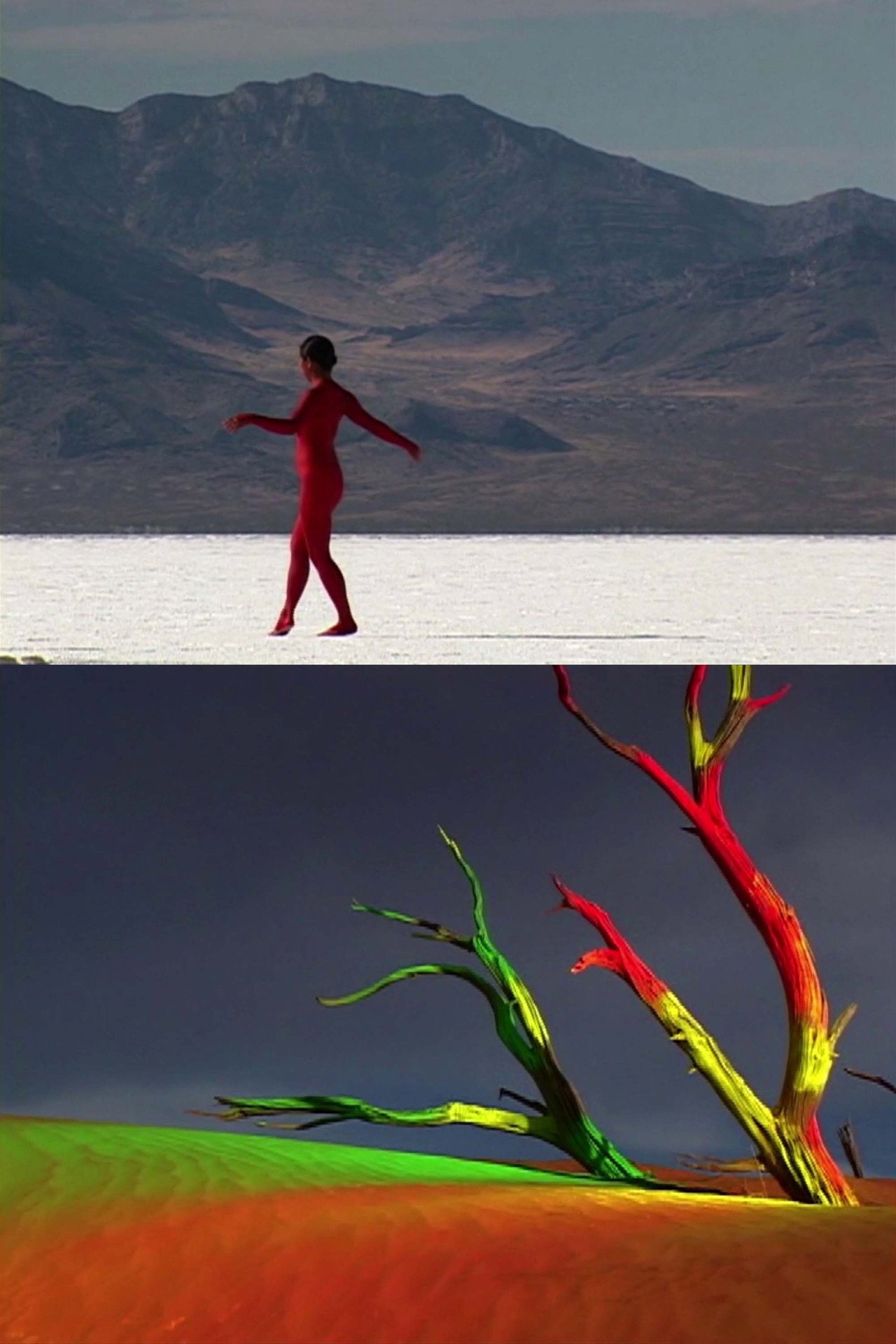 bodies of the desert filmaffisch