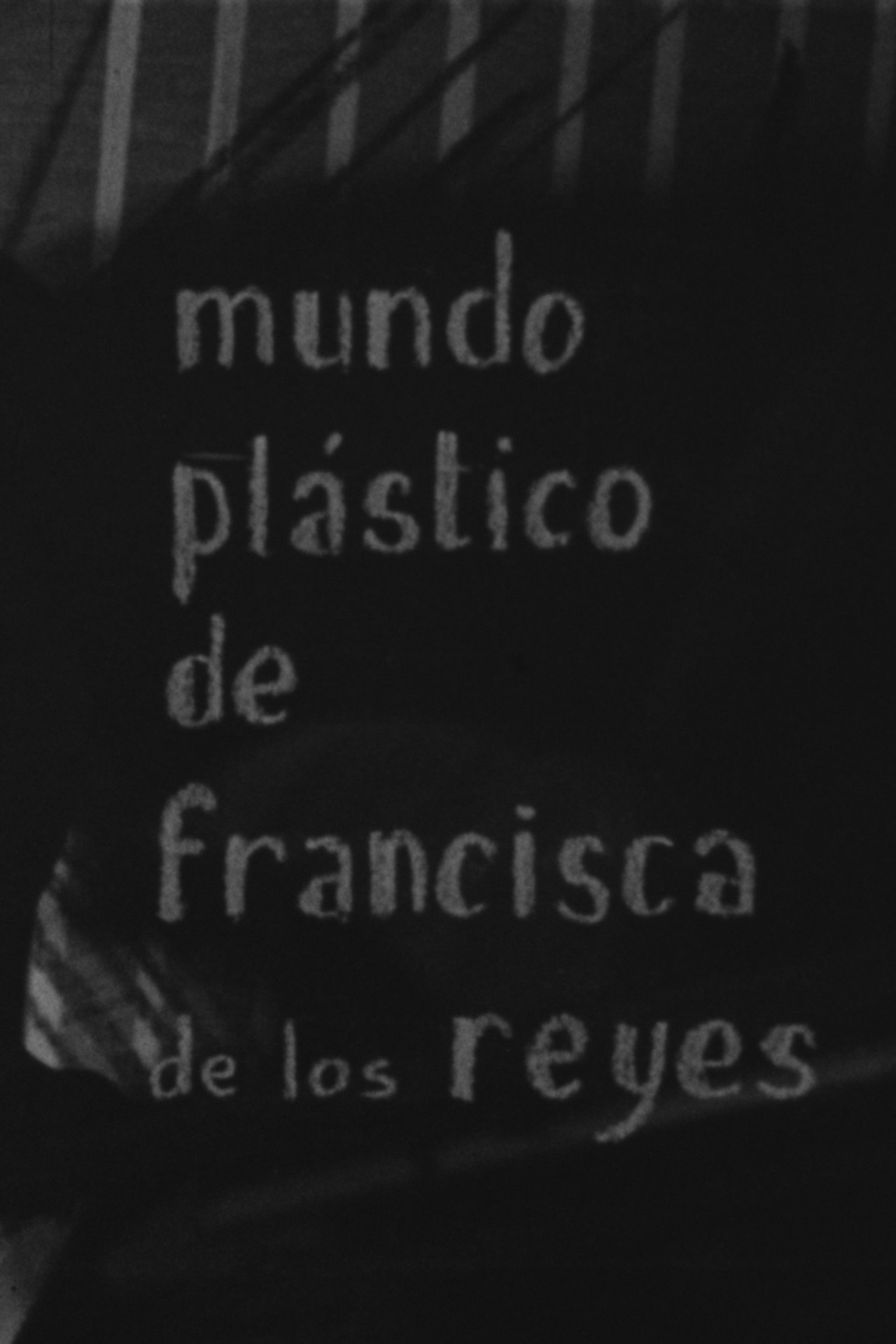 Mundo plástico de Francisca de los Reyes