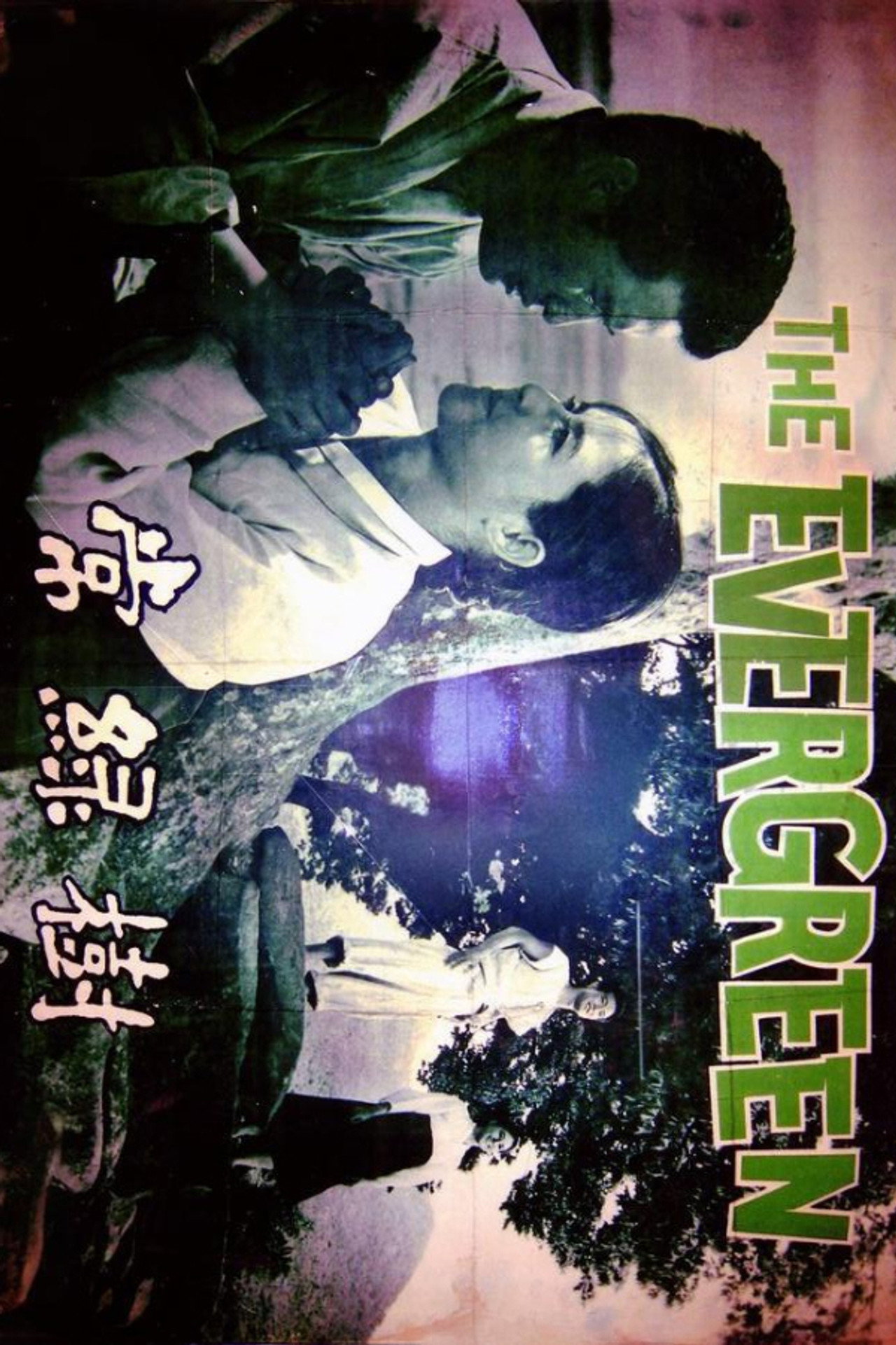 The Evergreen