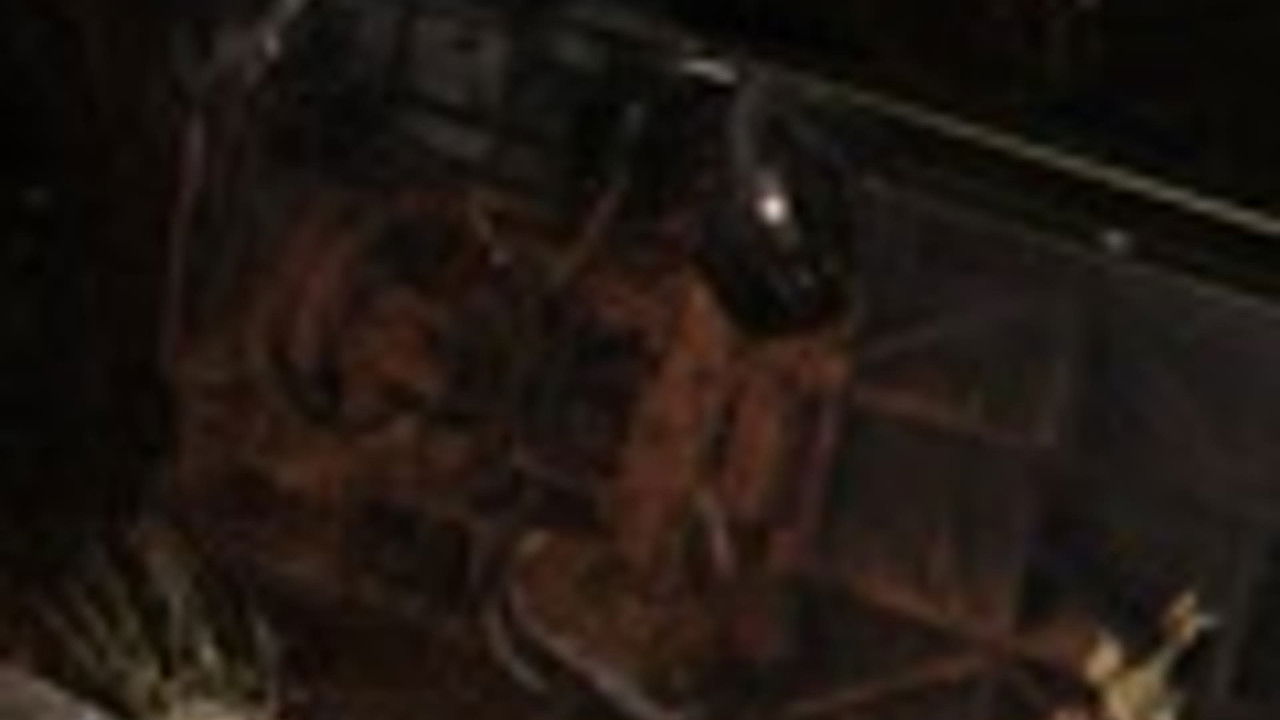 传奇故事 — Épisode 25