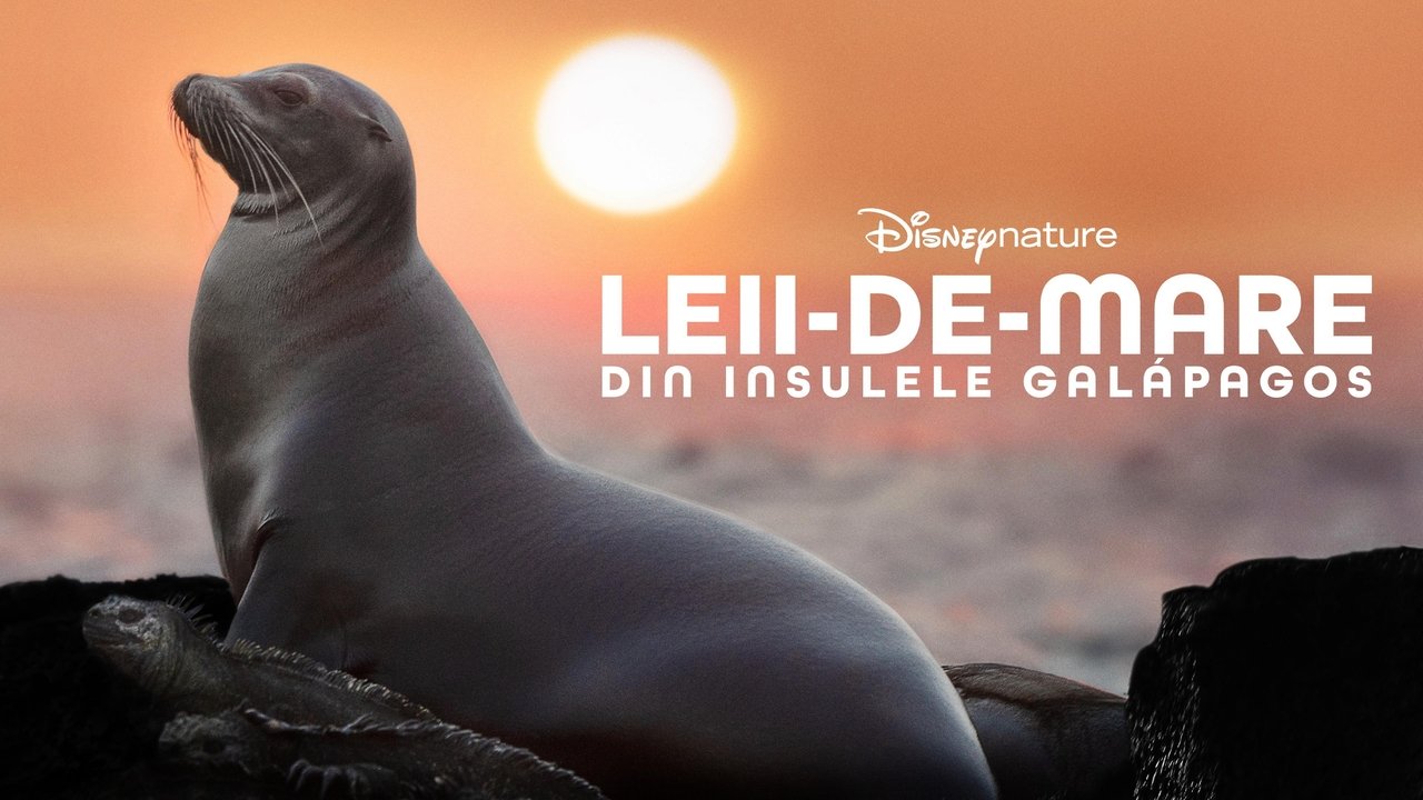 title image