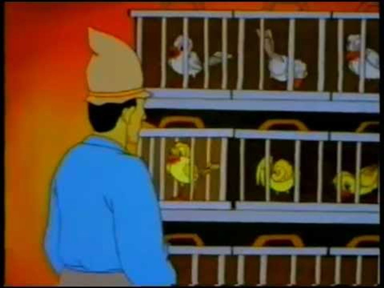 Historia de Canarias — Épisode 2