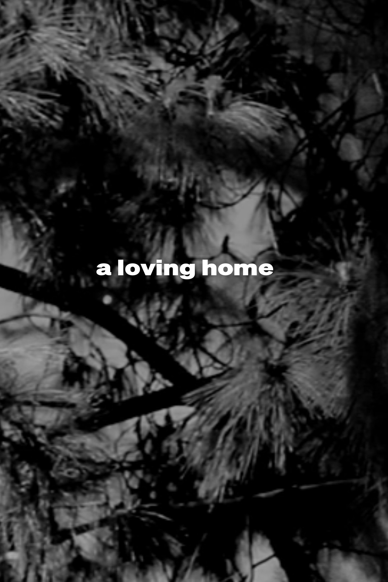 a loving home filmaffisch