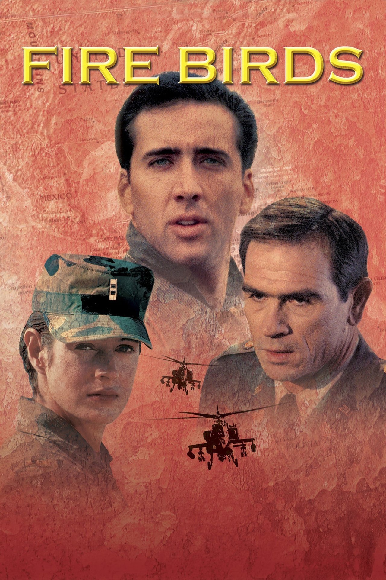 Fire Birds poster