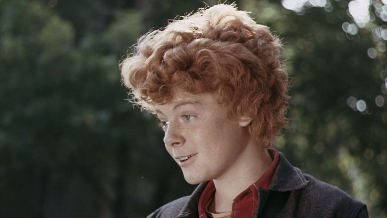 The Miracle Voice of Gelsomino backdrop