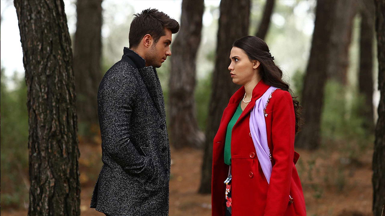 Kalk Gidelim — Épisode 15