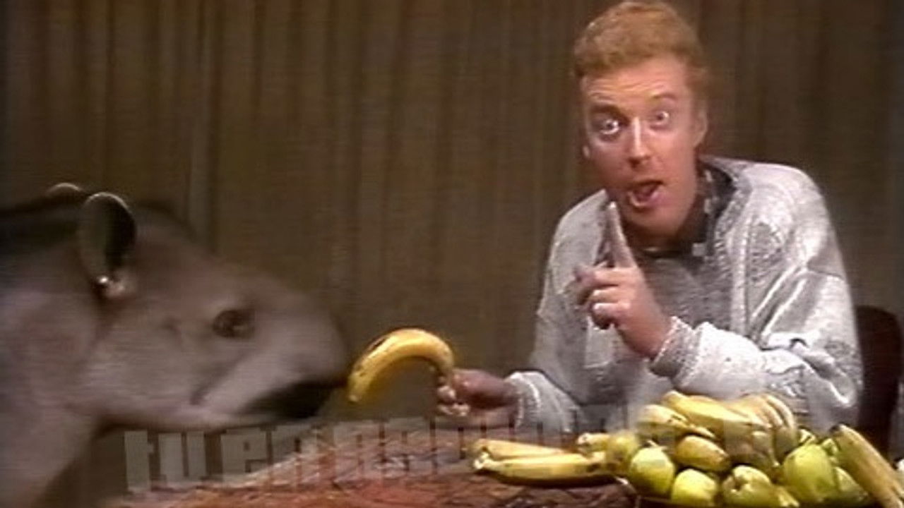 André Van Duin - De Muziekspecials — Épisode 2