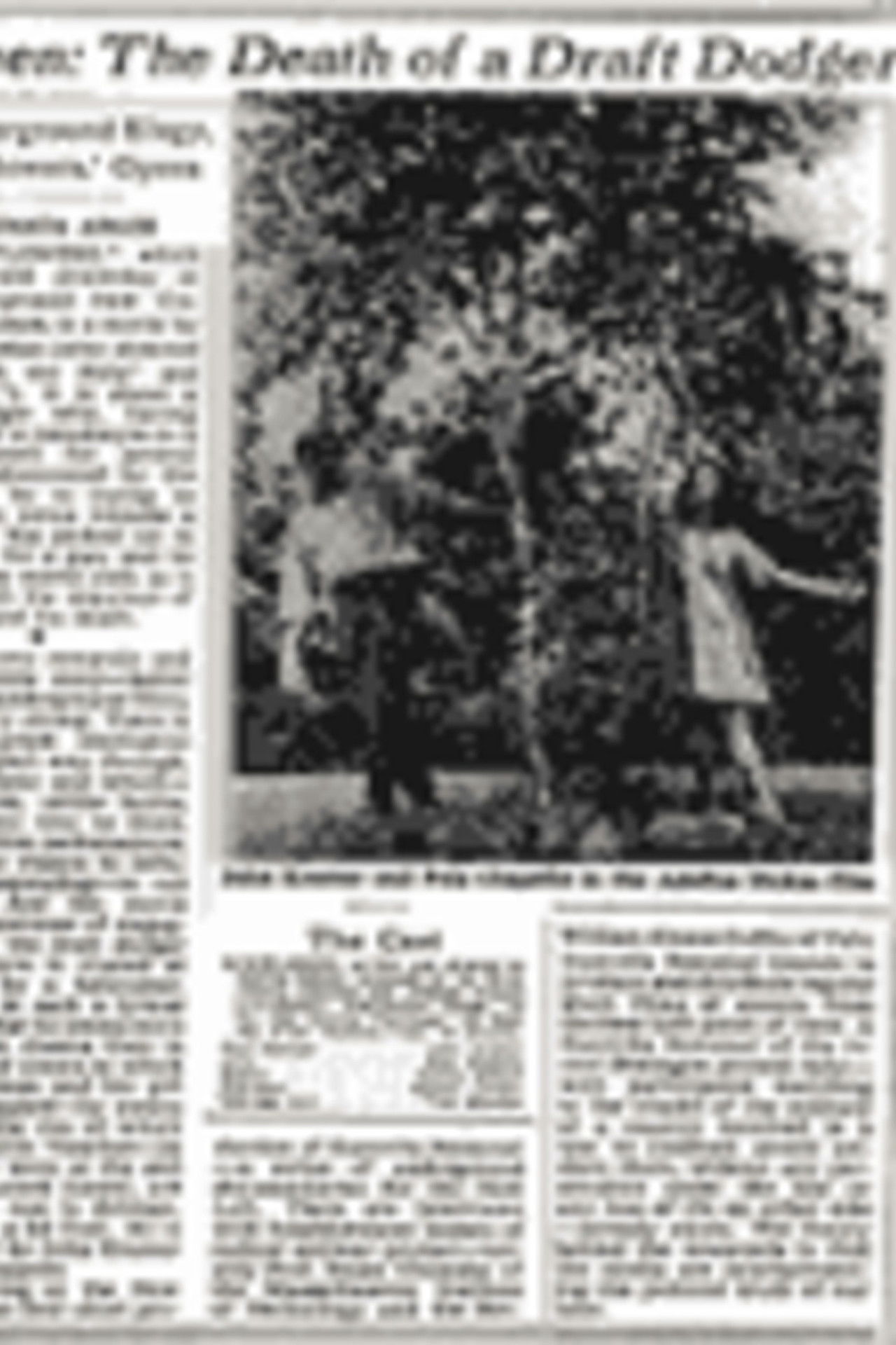 Windflowers Backdrop