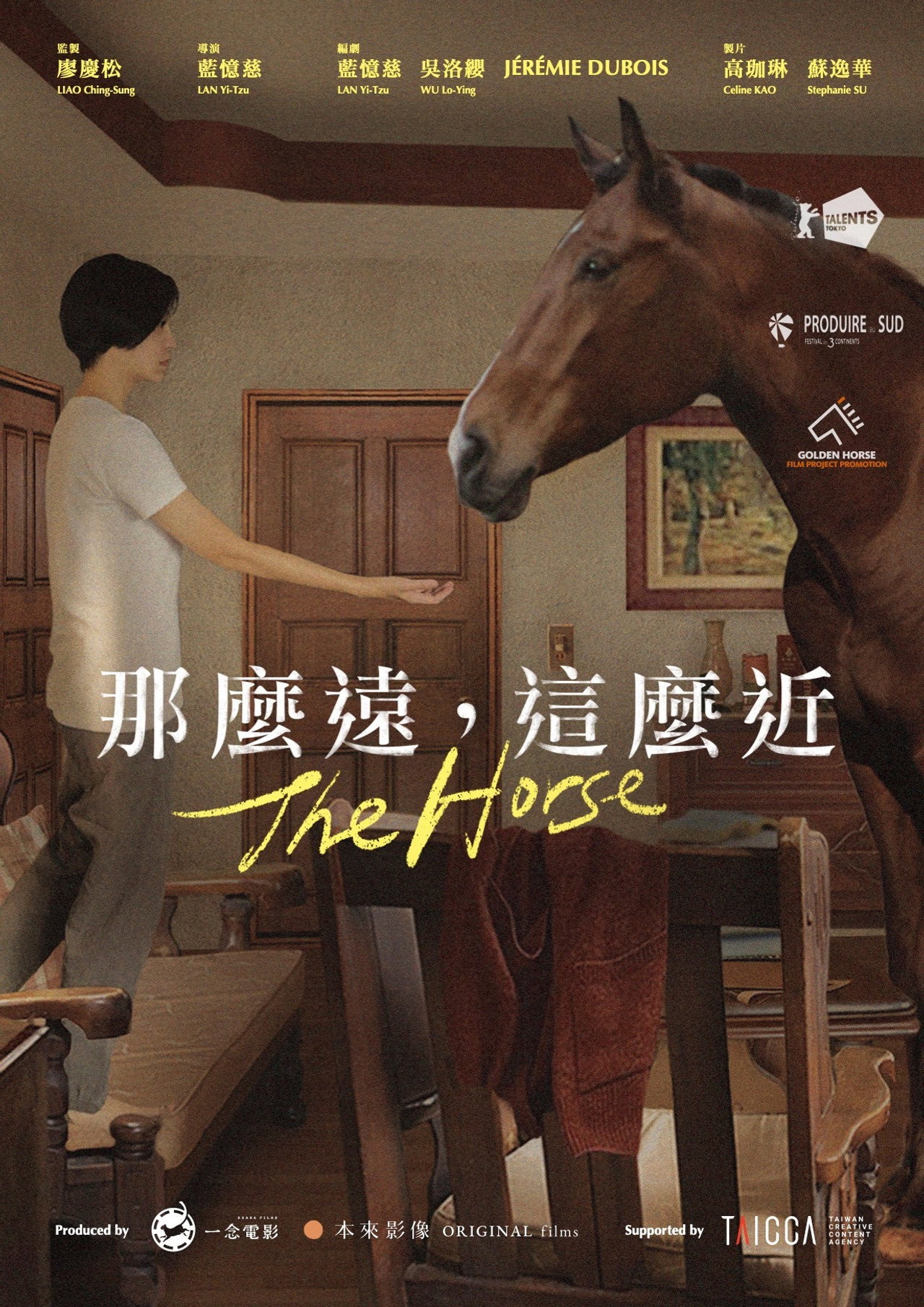 那麼遠,這麼近 filmaffisch