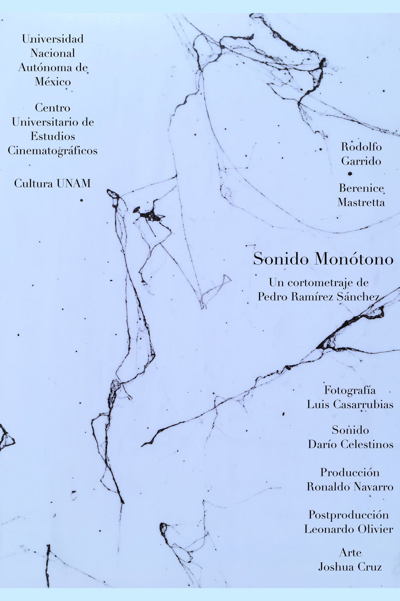 Sonido monótono filmaffisch