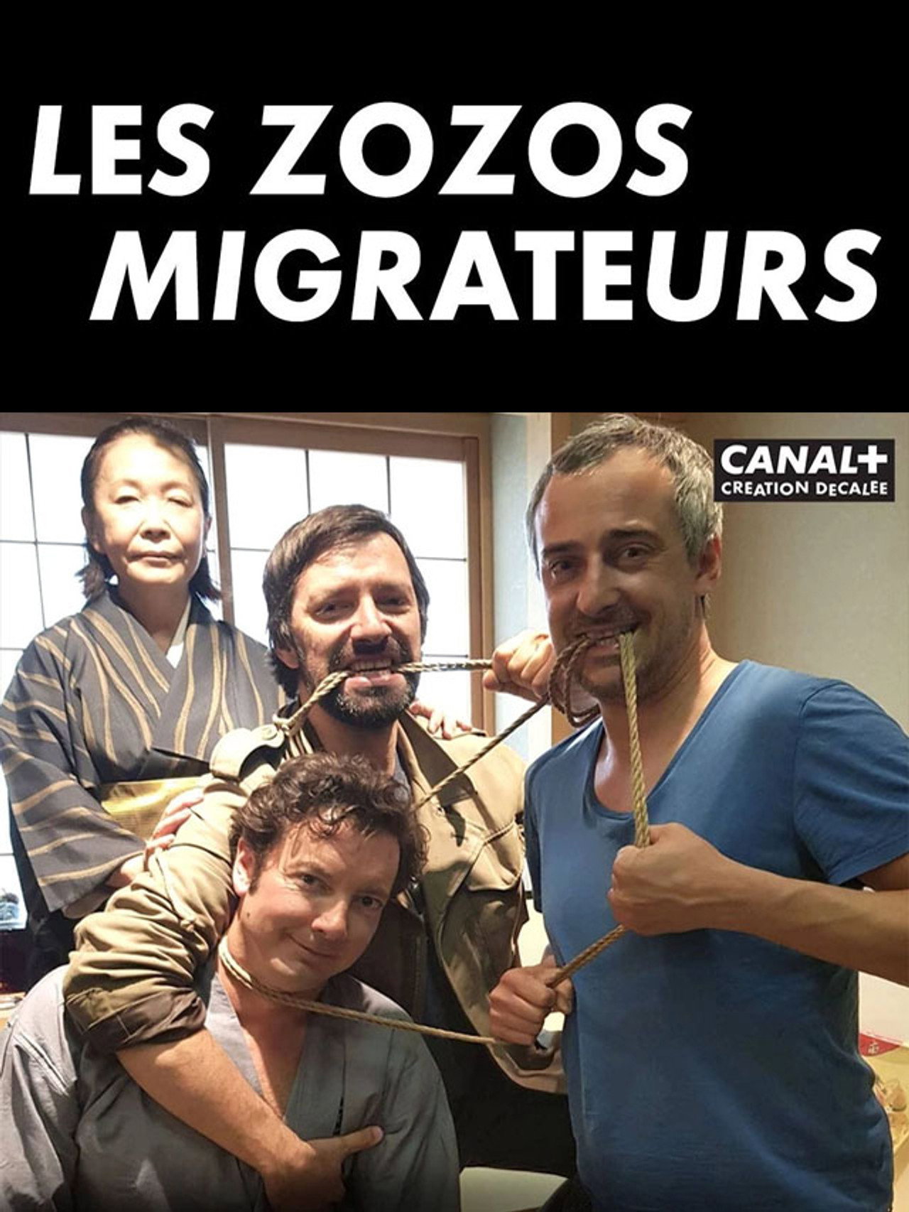 Les zozos migrateurs au pays du soleil levant filmaffisch