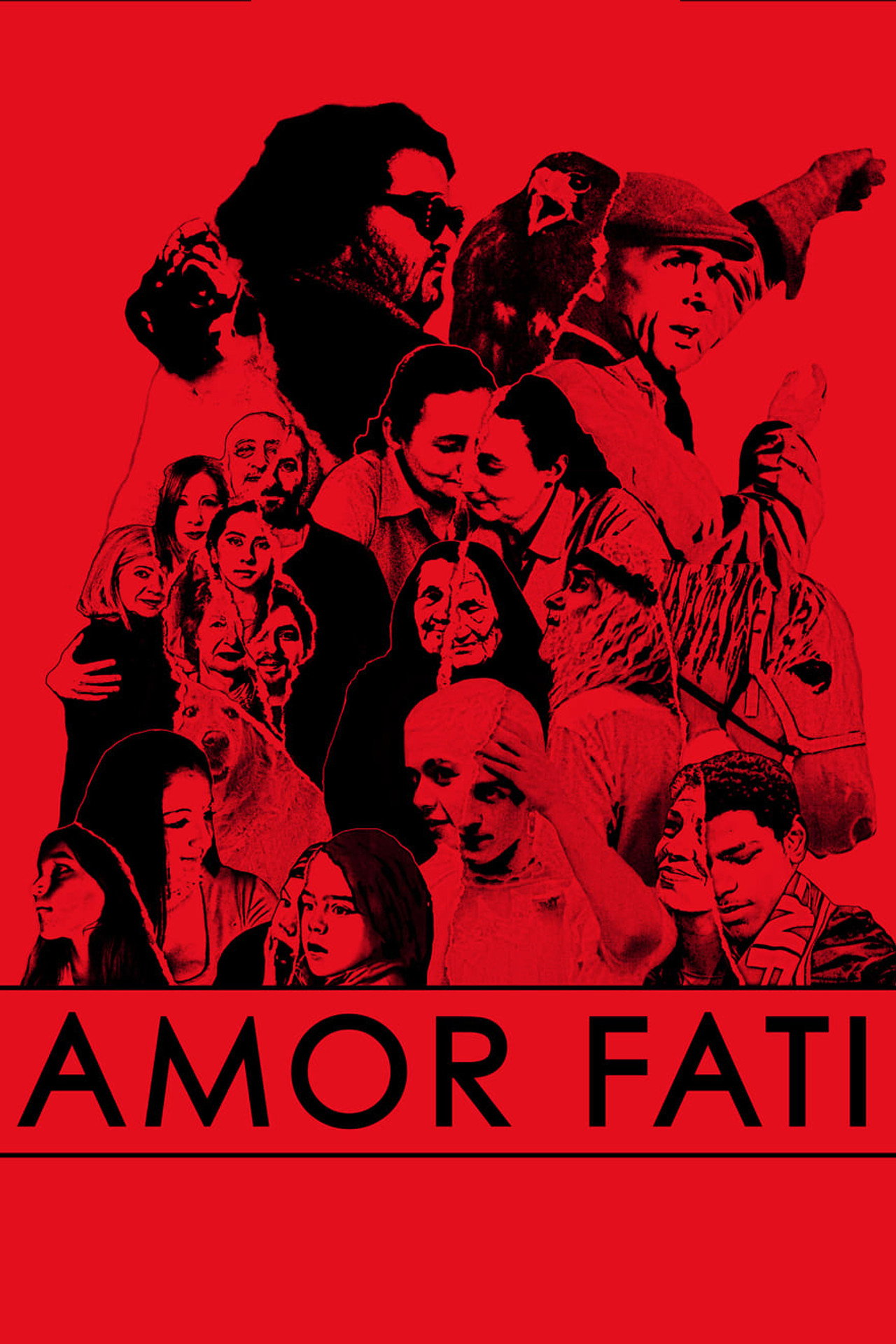 Amor Fati filmaffisch