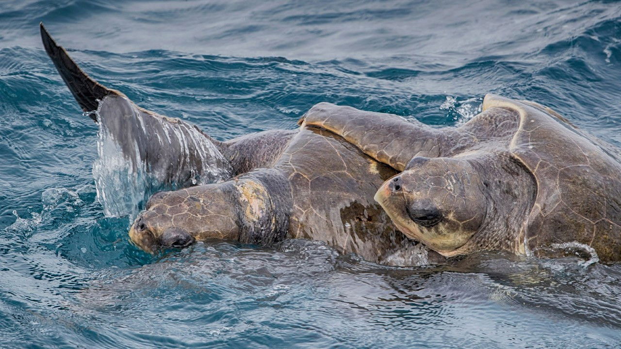 Útěky na Kostariku — Épisode 3