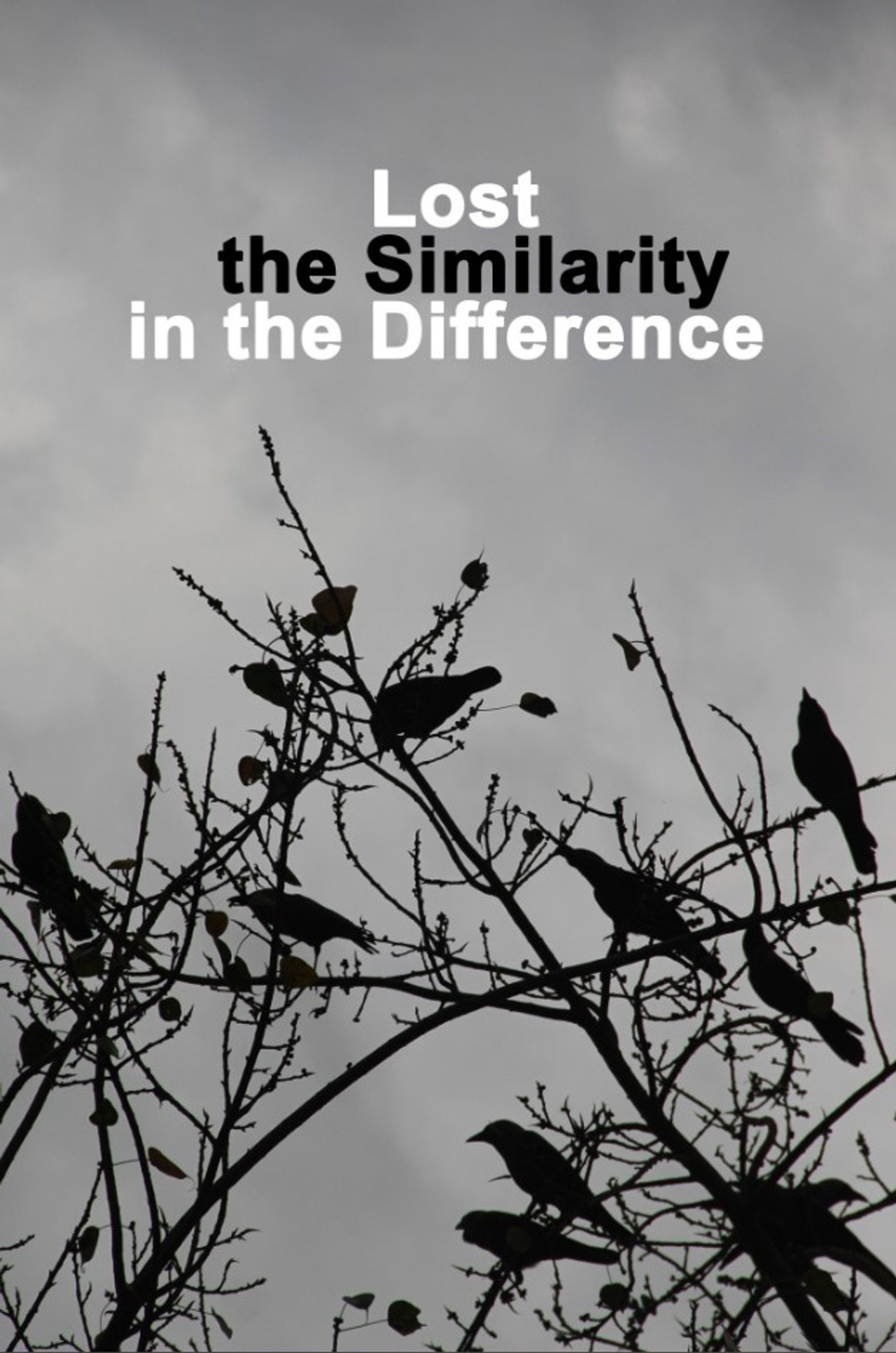 Lost the Similarity in the Difference (2020)