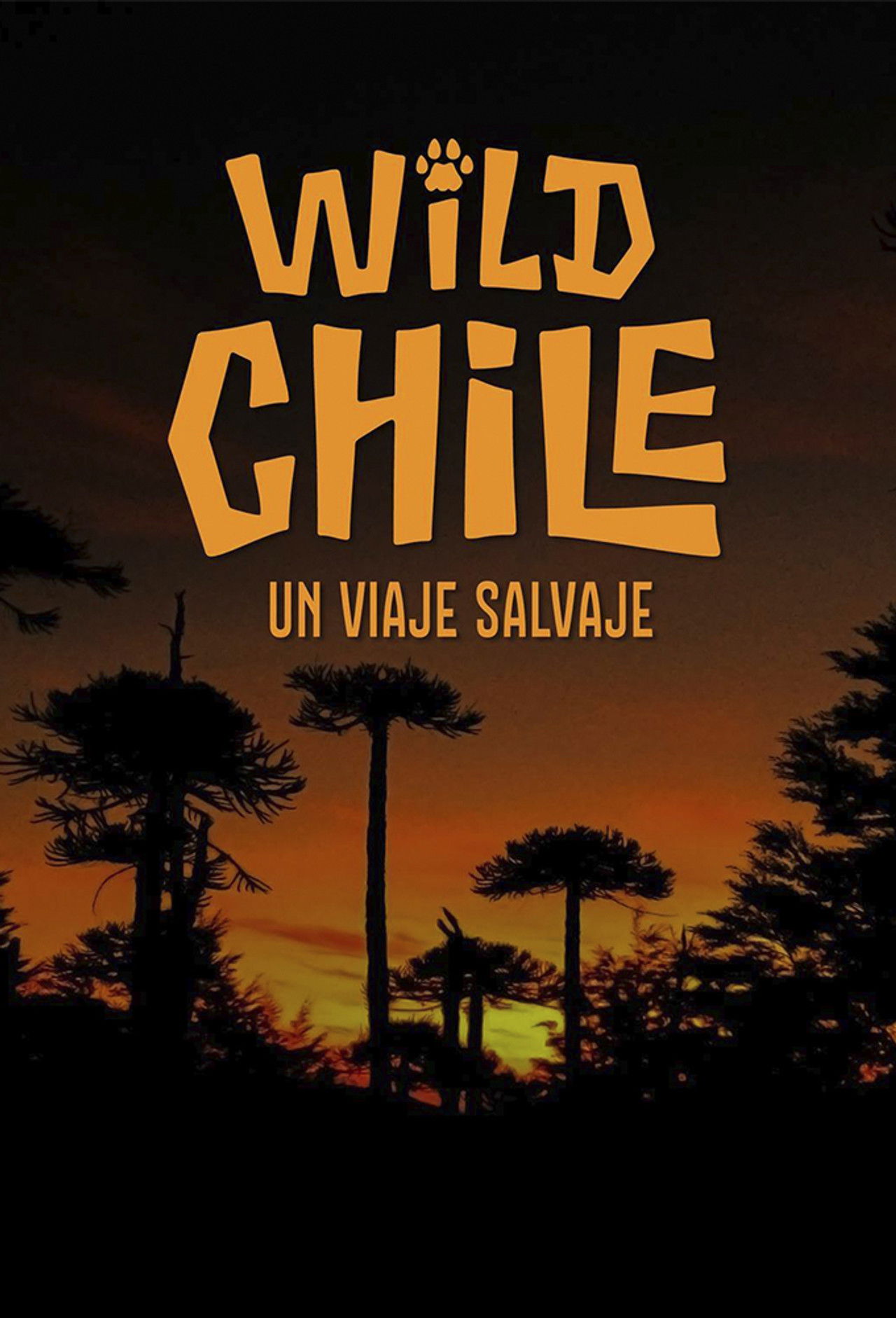 Wild Chile: Një udhëtim i egër backdrop