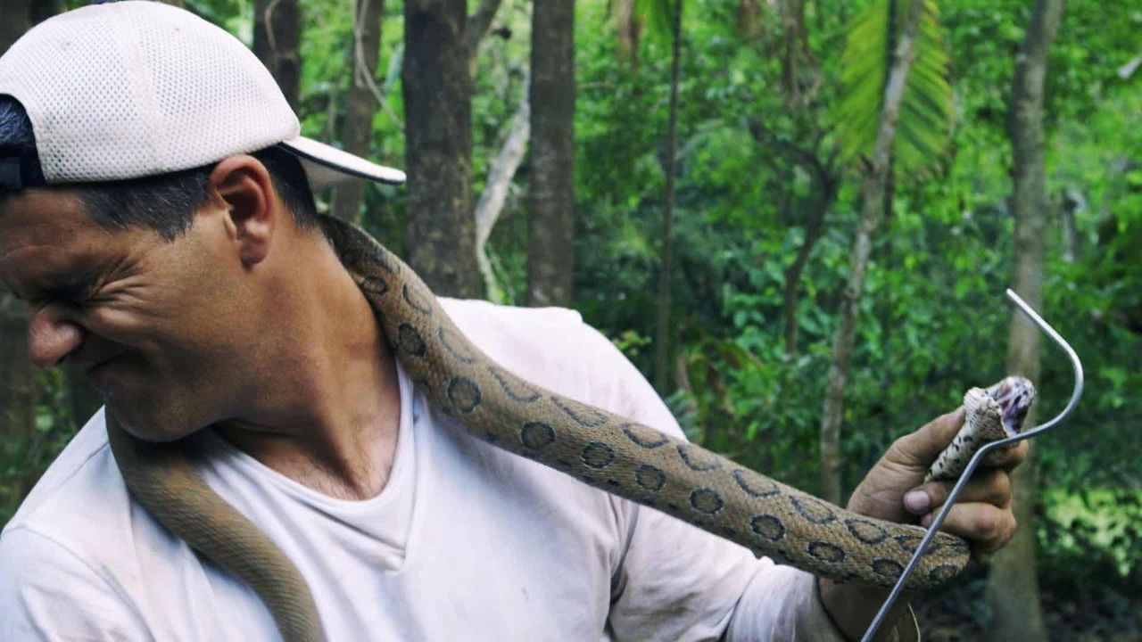 Wild Frank — Épisode 2