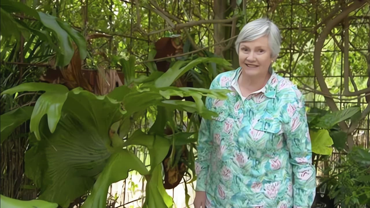 Gardening Australia - Season 33 Episode 24 : Episode 24 Ferns, Trellis, Water, Courtyard & Wagtail