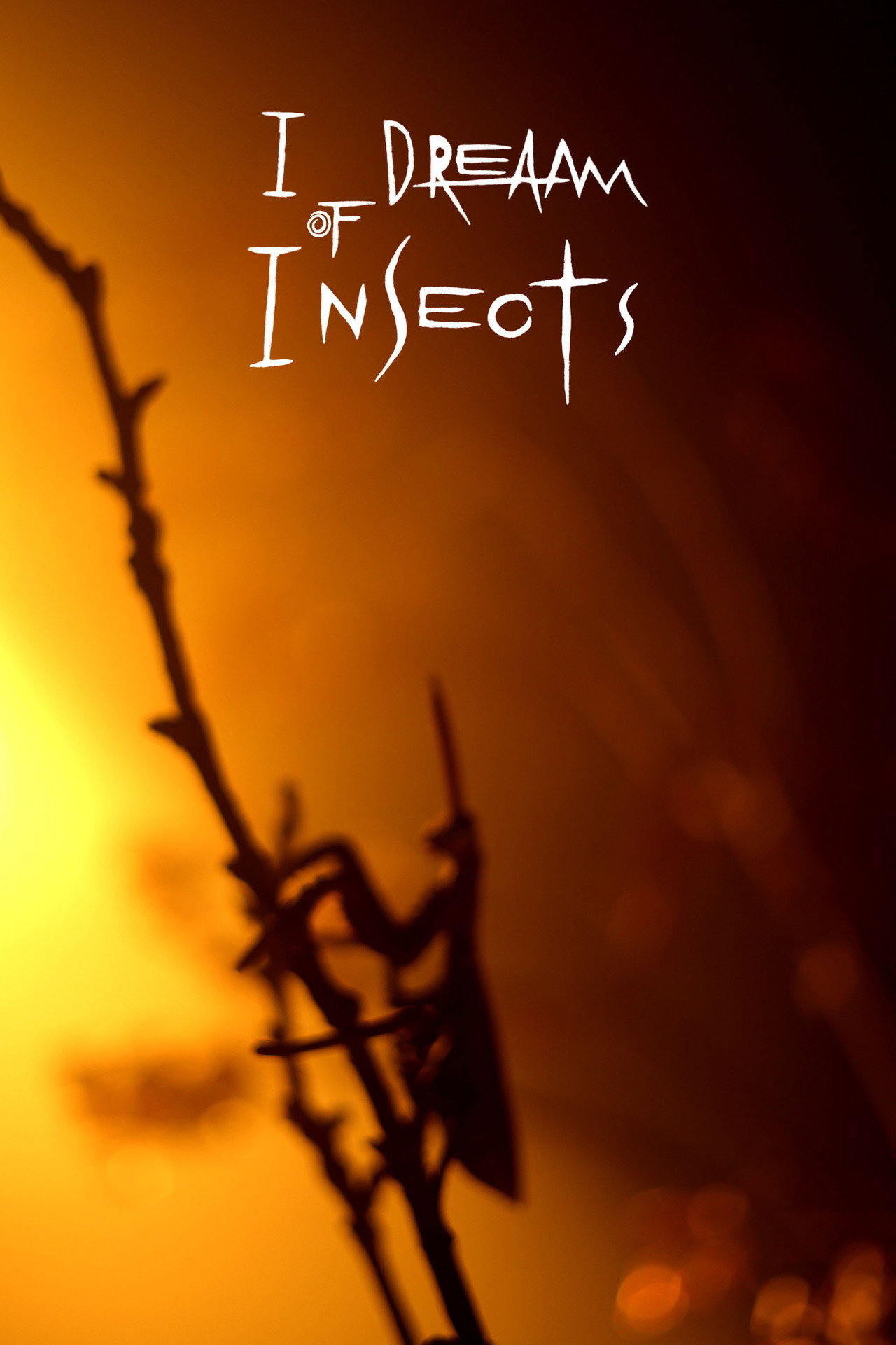 I Dream Of Insects filmaffisch