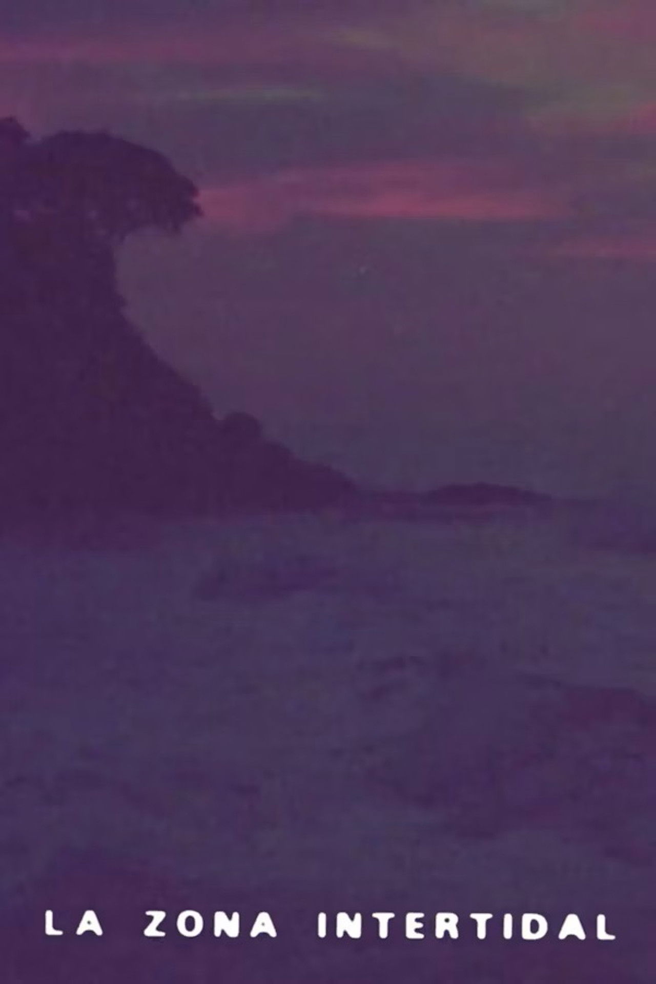 Intertidal Zone Backdrop